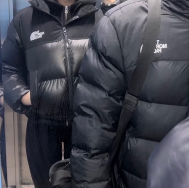 (W) The North Face White Label Novelty Nuptse Down Jacket Black 착용 스타일