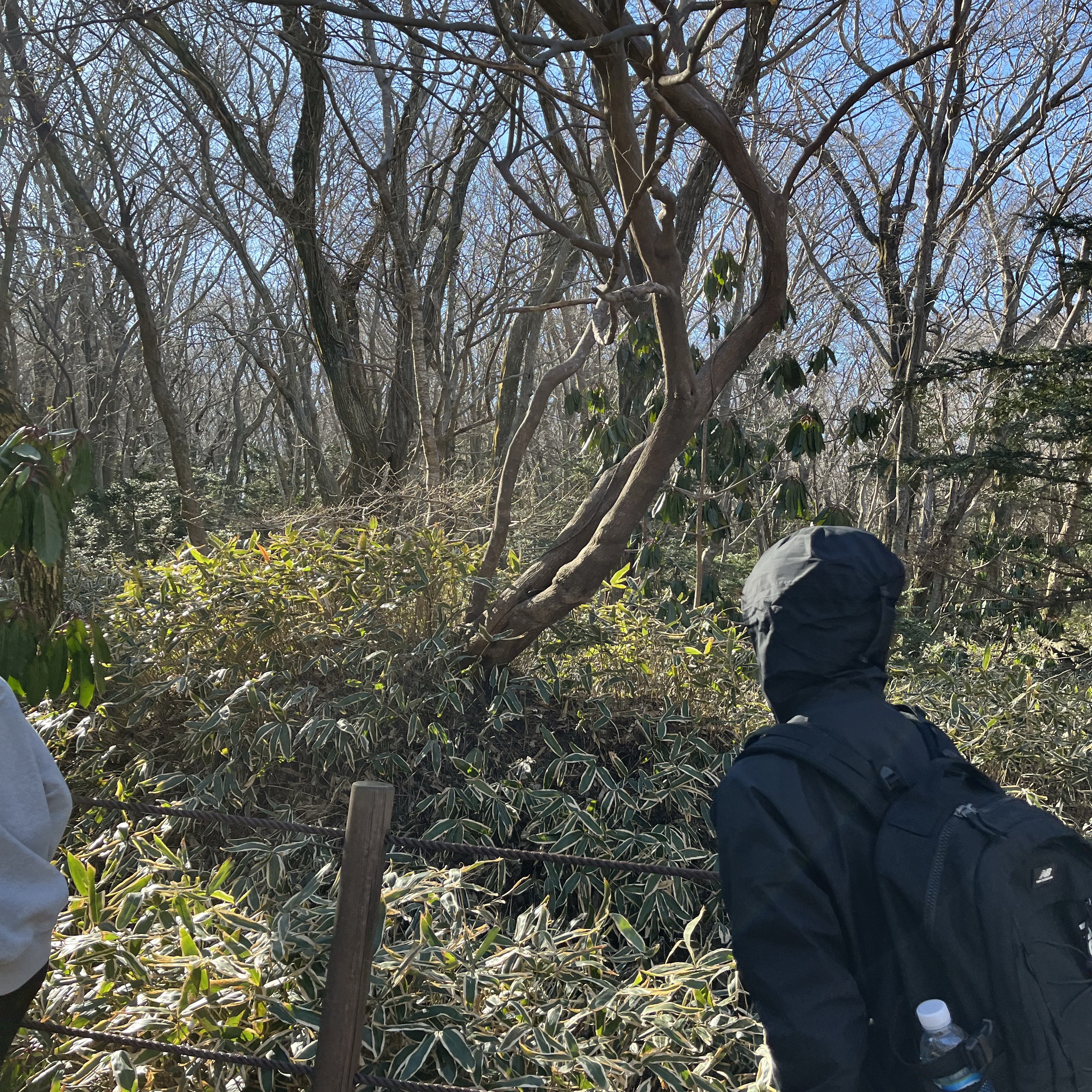 Nike Gore-Tex Infinium Trail Running Jacket Black - Asia 착용 스타일