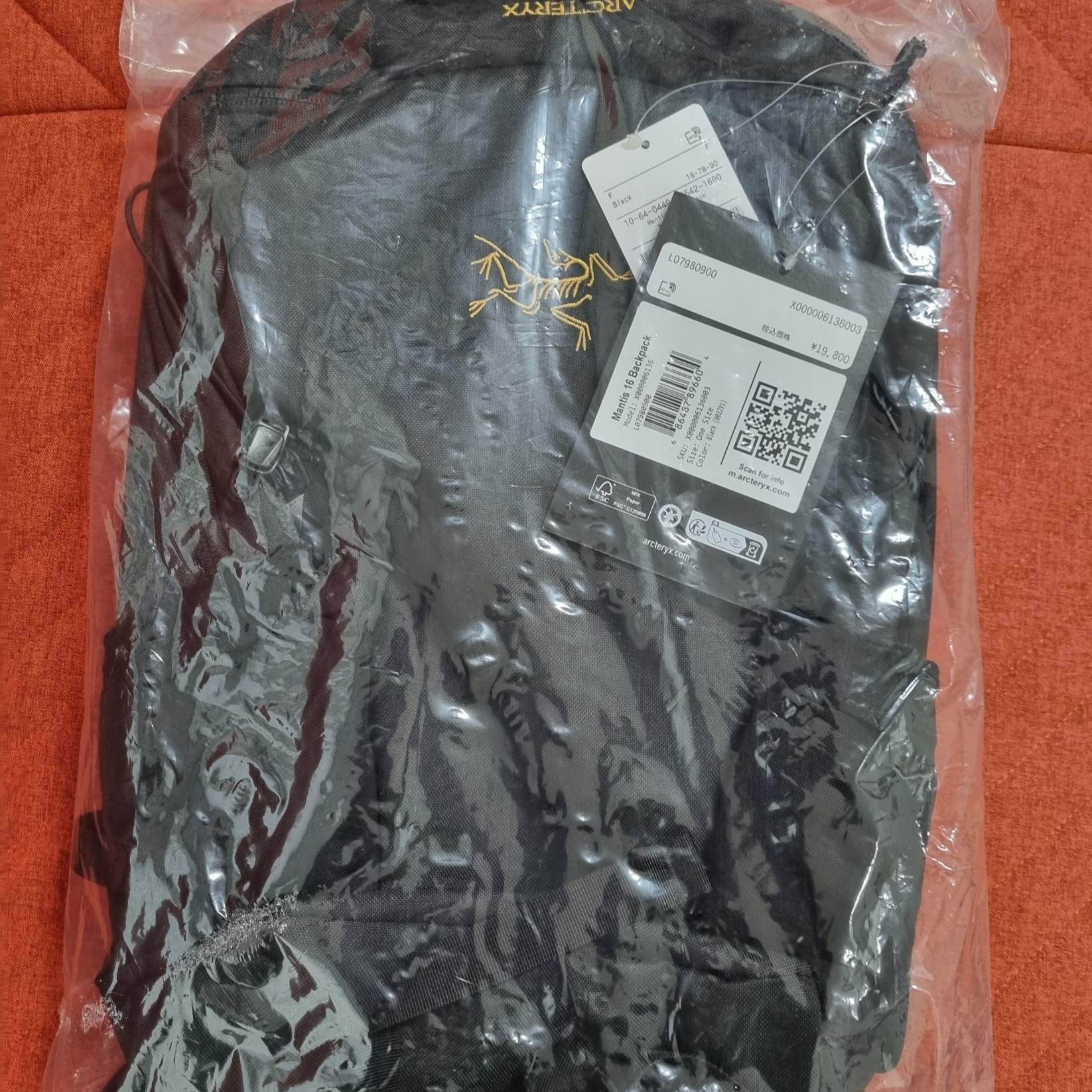 Arc'teryx Mantis 16 Backpack Black 착용 스타일