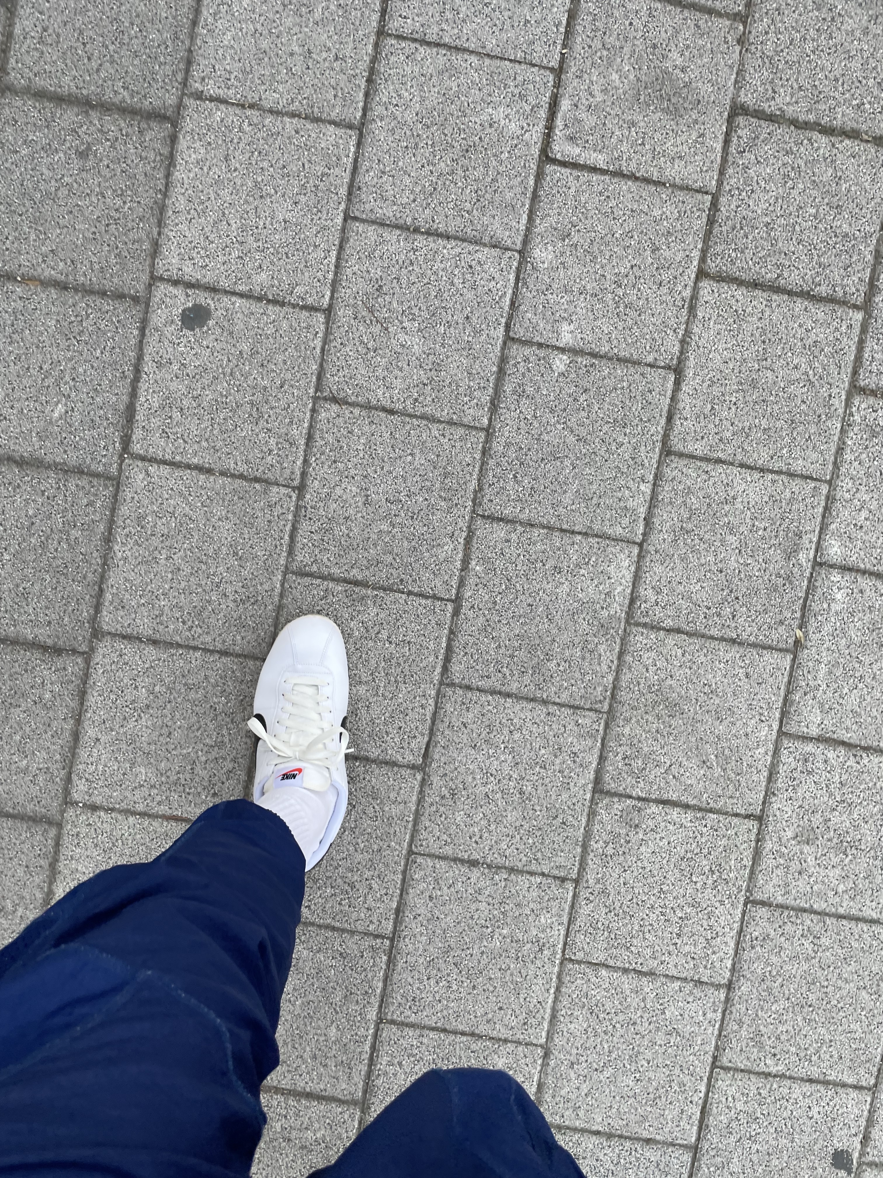 Nike Cortez White and Black 착용 스타일