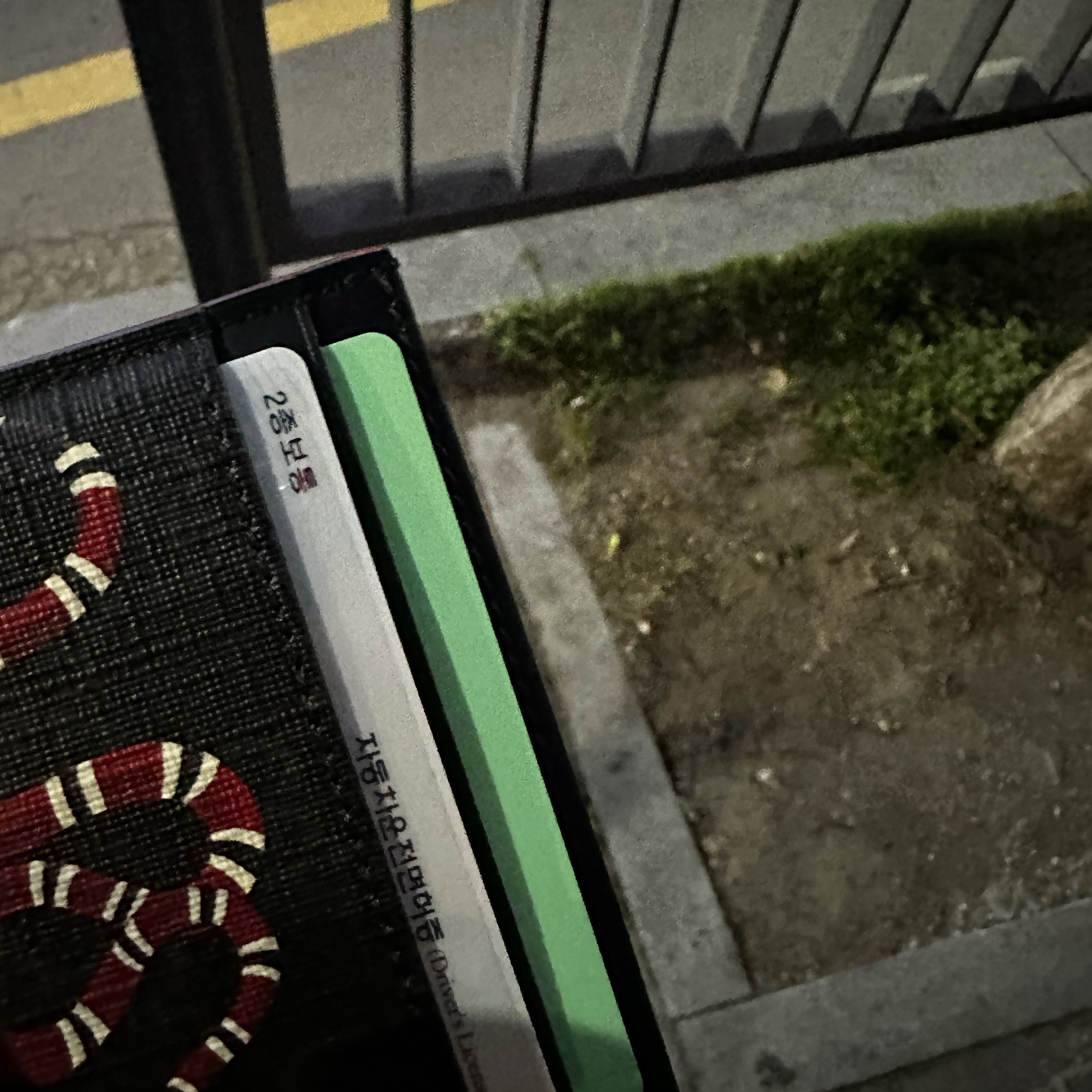 Gucci Bestiary Kingsnake Print Card Case Black 착용 스타일
