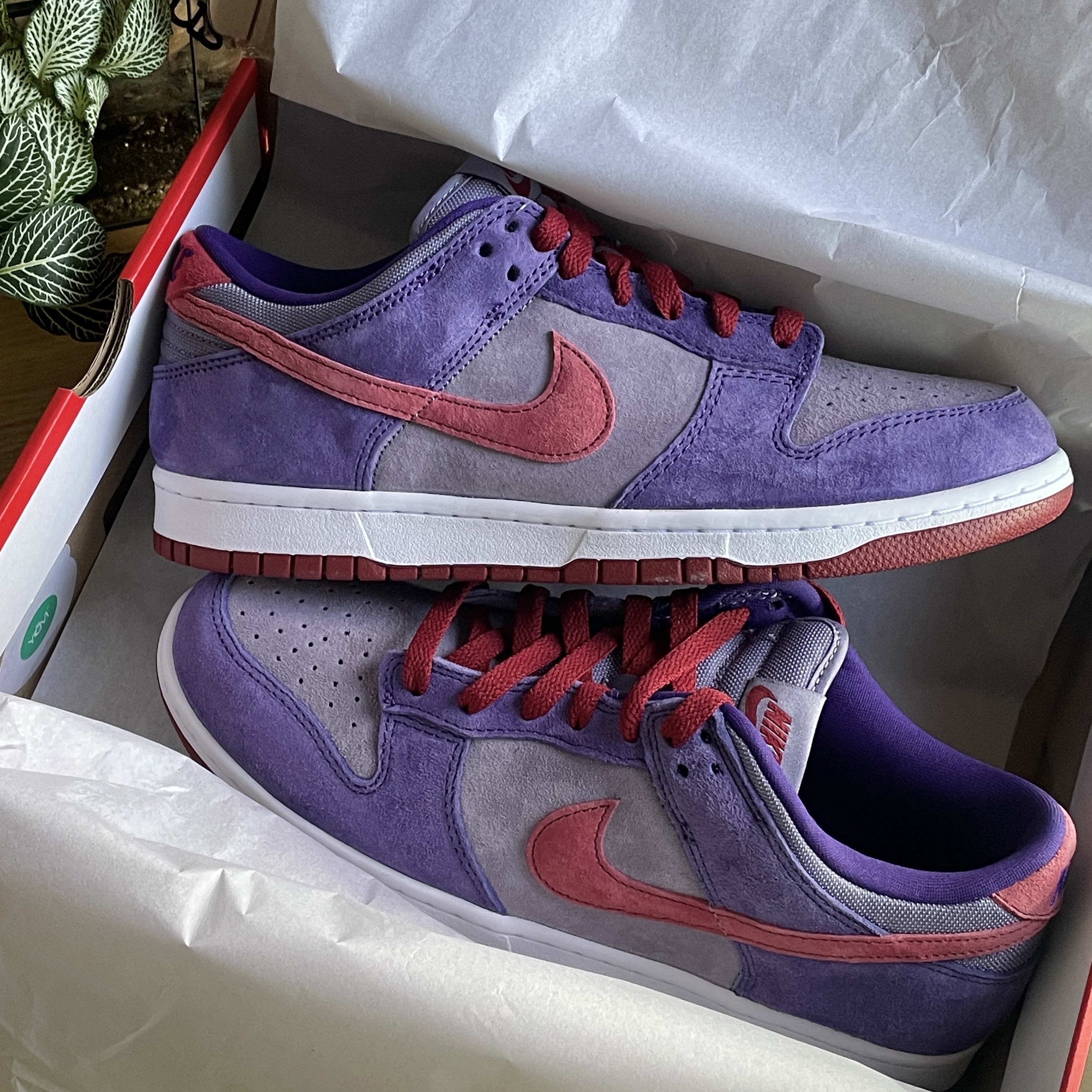 Nike Dunk Low SP Plum 2024 착용 스타일 - 2
