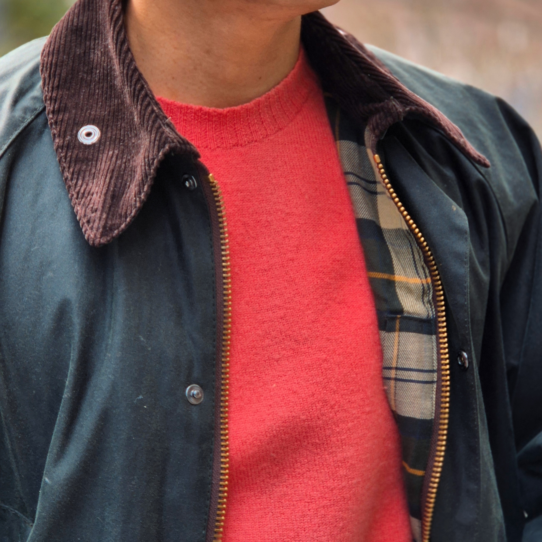 Barbour Bedale Wax Jacket Sage, Harley of Scotland Shaggy Dog Crewneck Sweater Undyed White 착용 스타일 - 2
