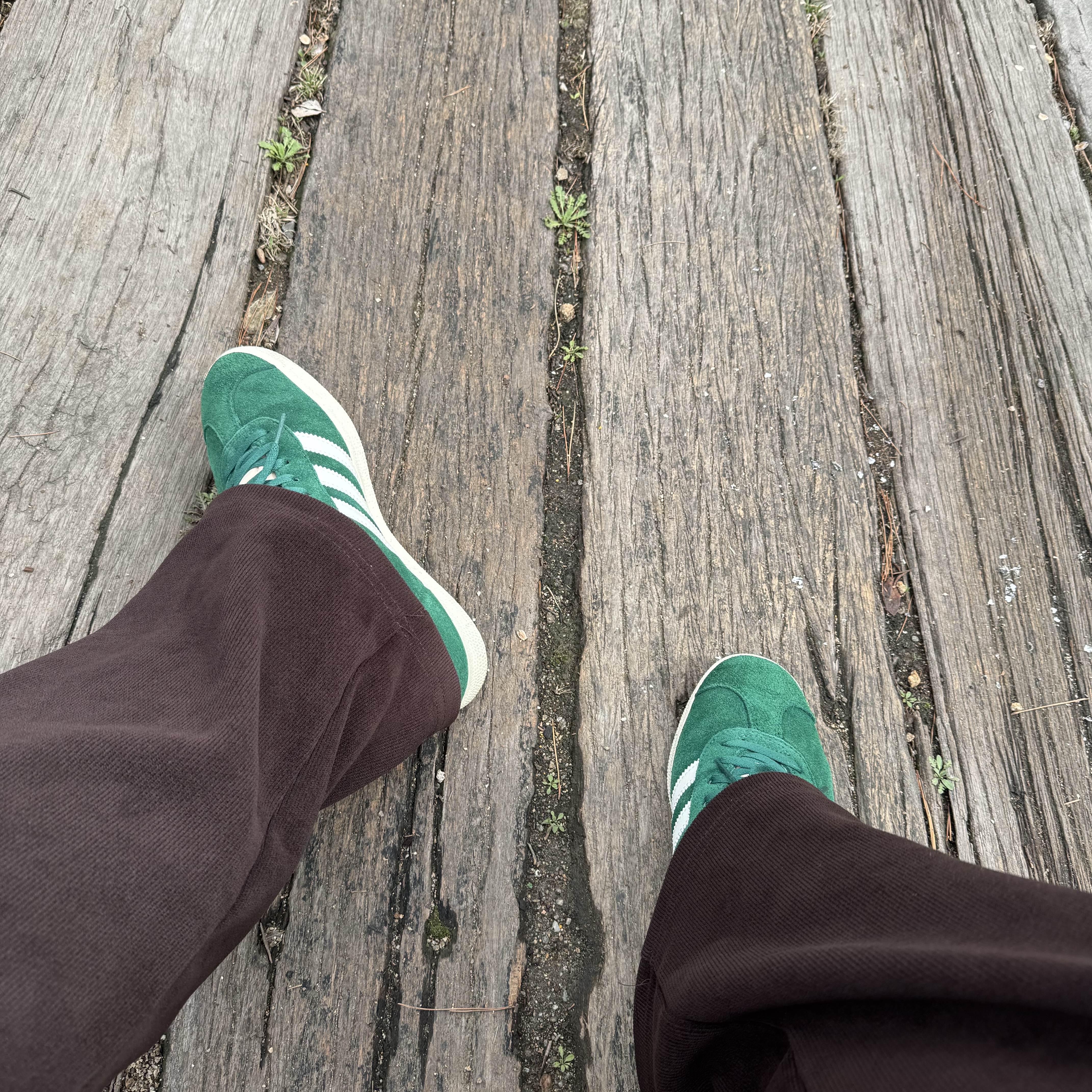 Adidas Gazelle Dark Green Cream White 착용 스타일