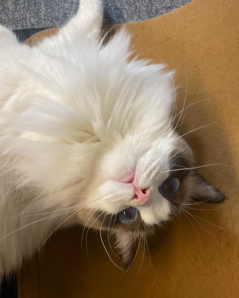 관심 유저 프로필 이미지