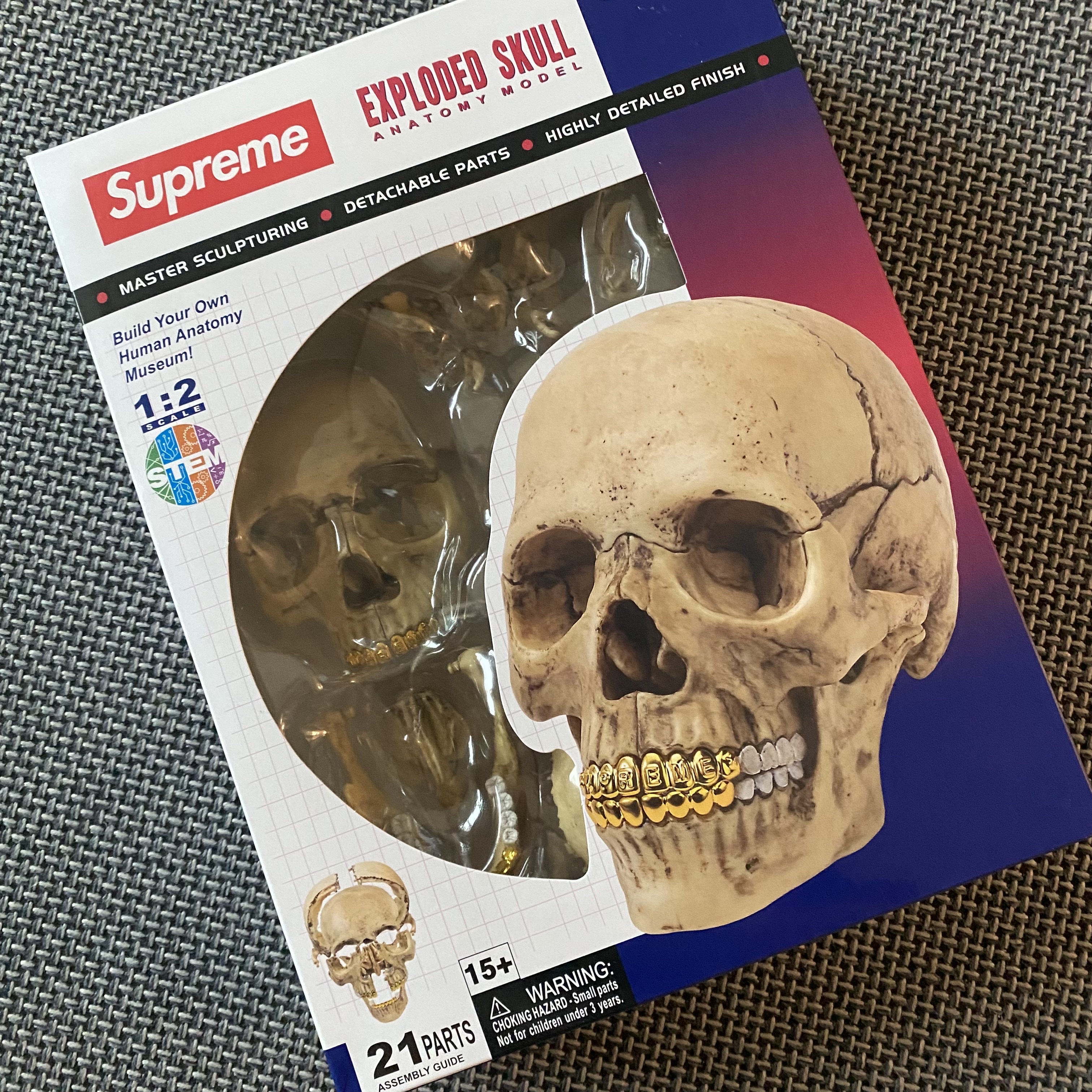 Supreme 4D Model Human Skull Natural - 23FW 착용 스타일