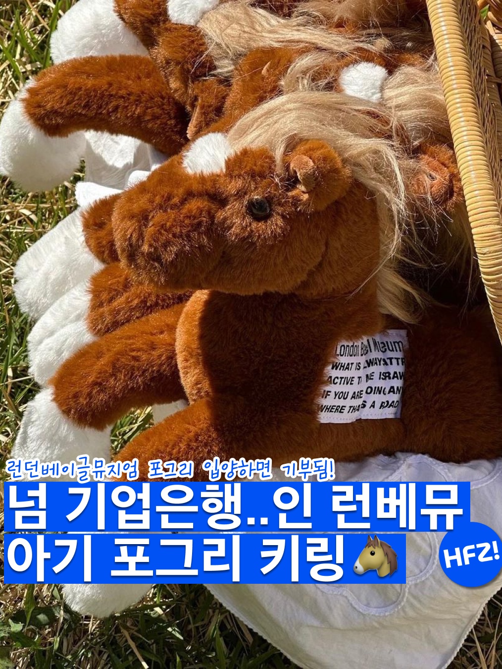 Baby Pogry, London Bagel Museum Pogrydoll 착용 스타일 - 1