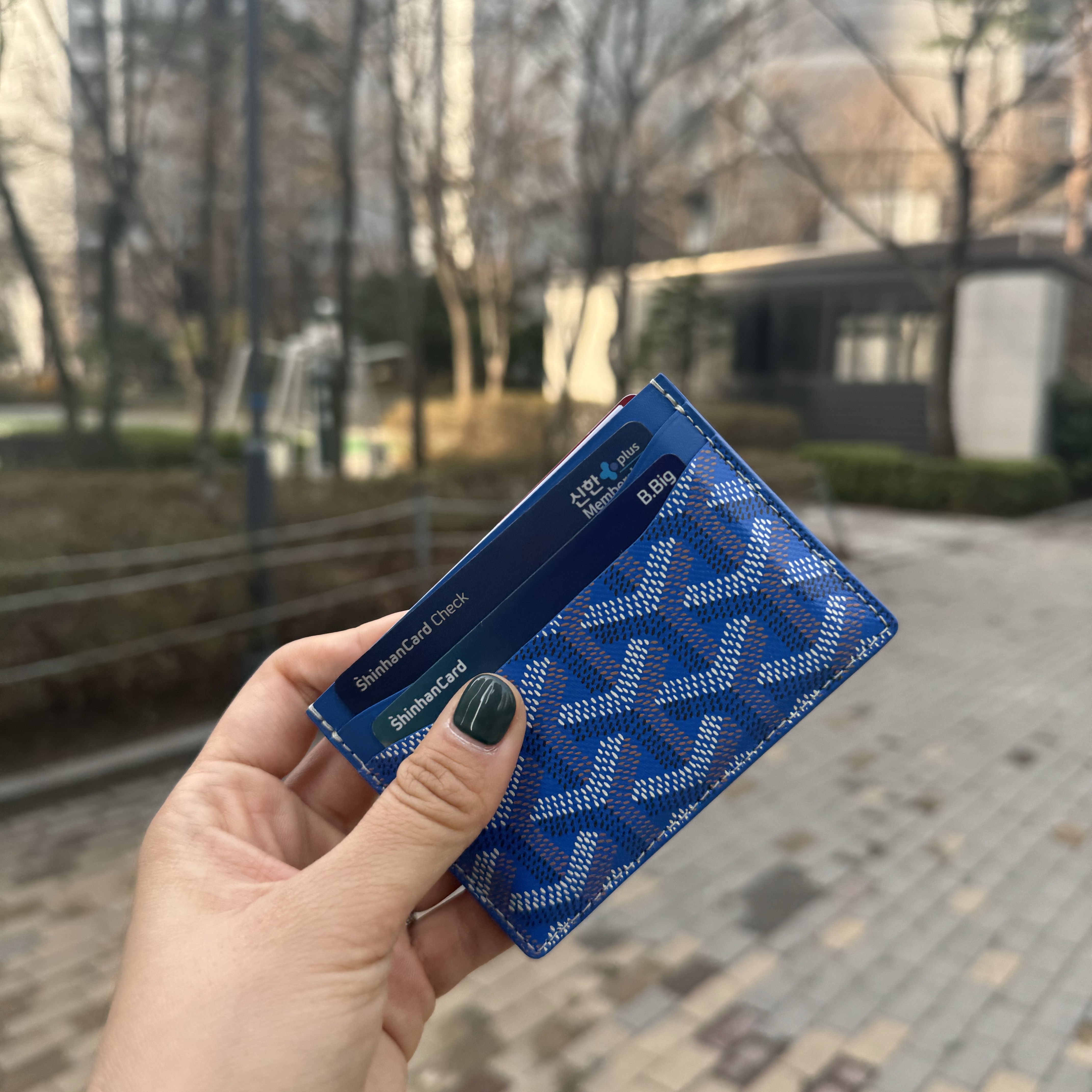 Goyard Saint Sulpice Card Holder Sky Blue 착용 스타일