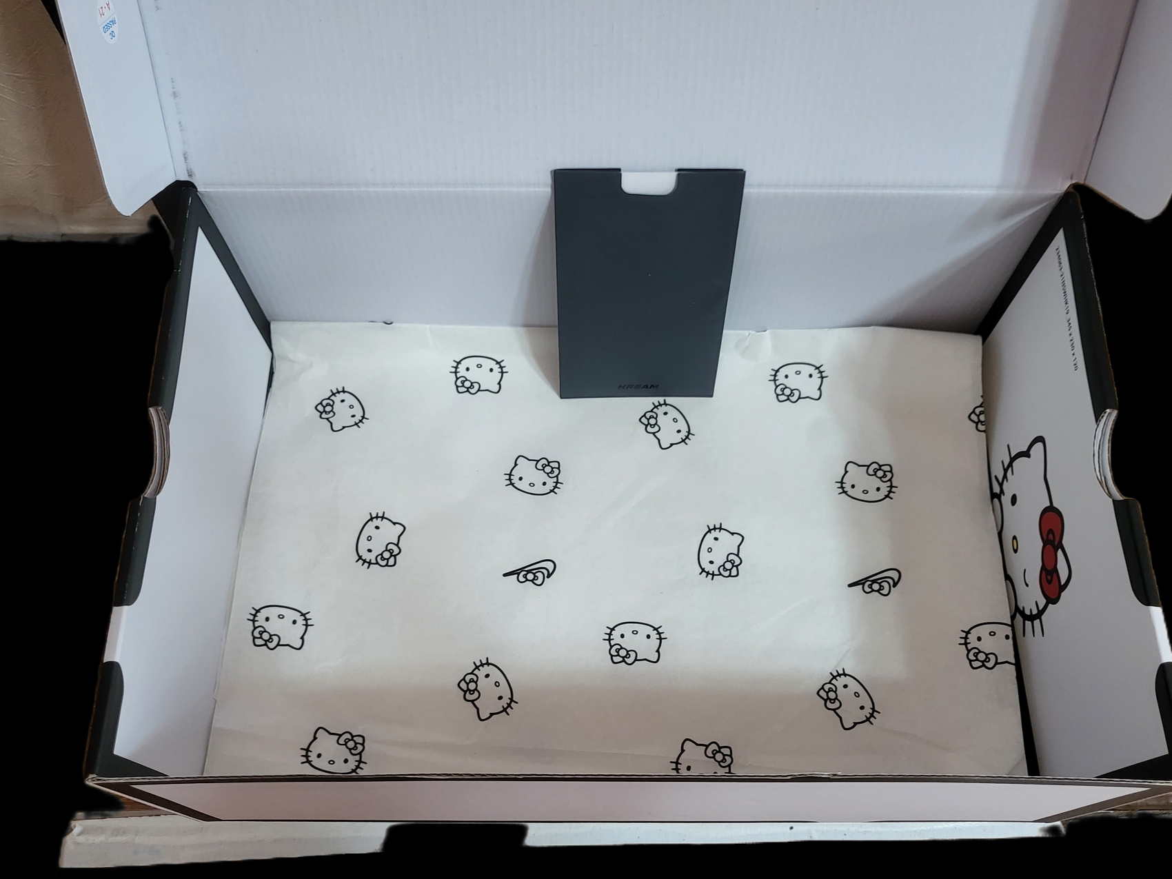 (TD) Nike x Hello Kitty Air Presto University Blue 착용 스타일 - 2