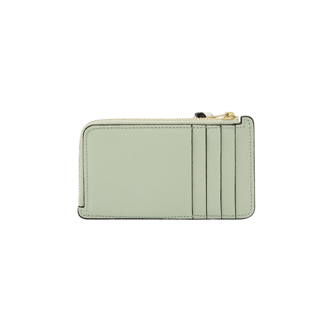 Loewe Coin Card Holder In Soft Grained Calfskin Spring Jade Clay Green 상세 이미지 2