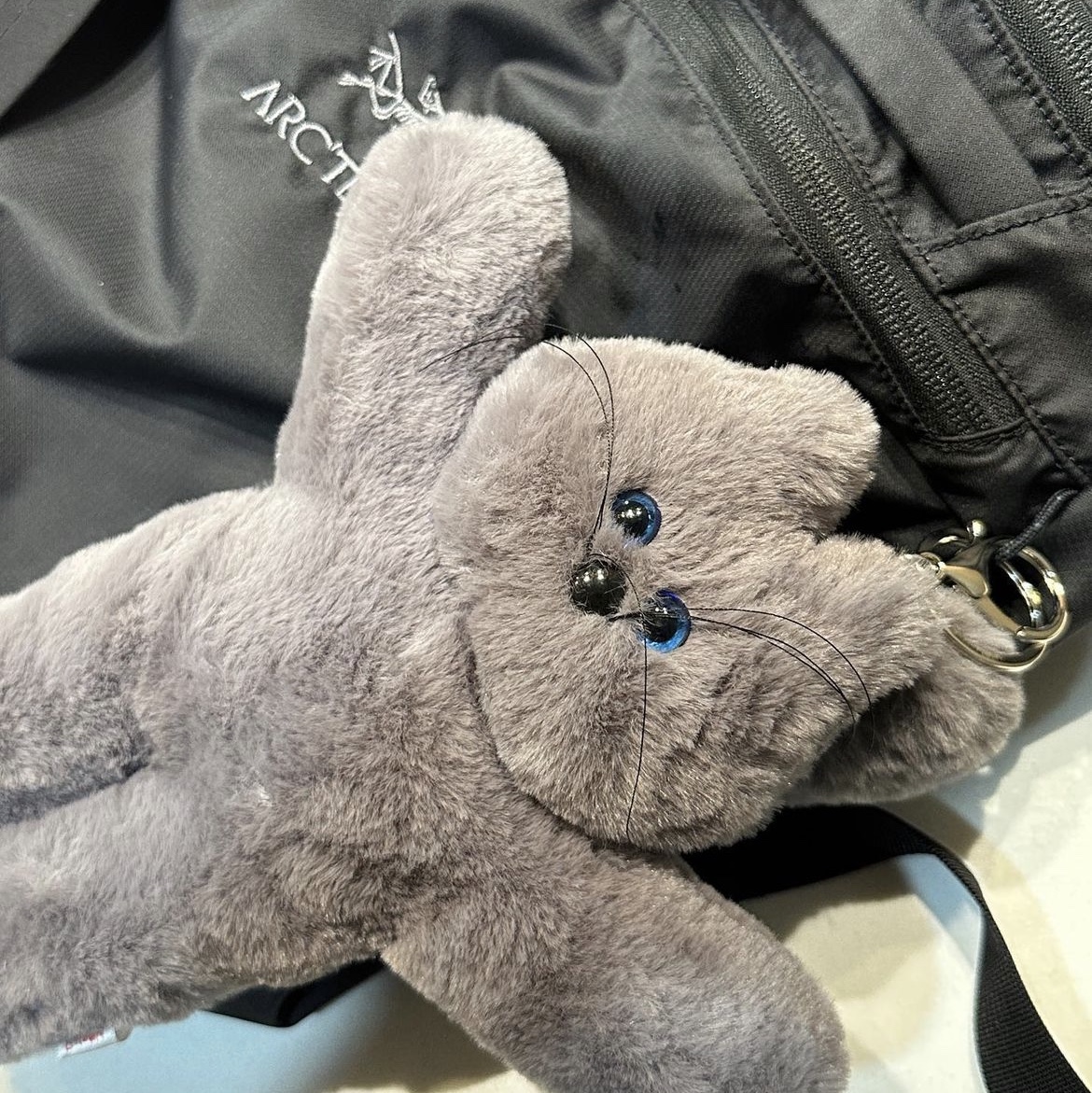 Lelbobrown Little Cat Keyring Hendrix, Arc'teryx Heliad 15 Backpack Black 착용 스타일
