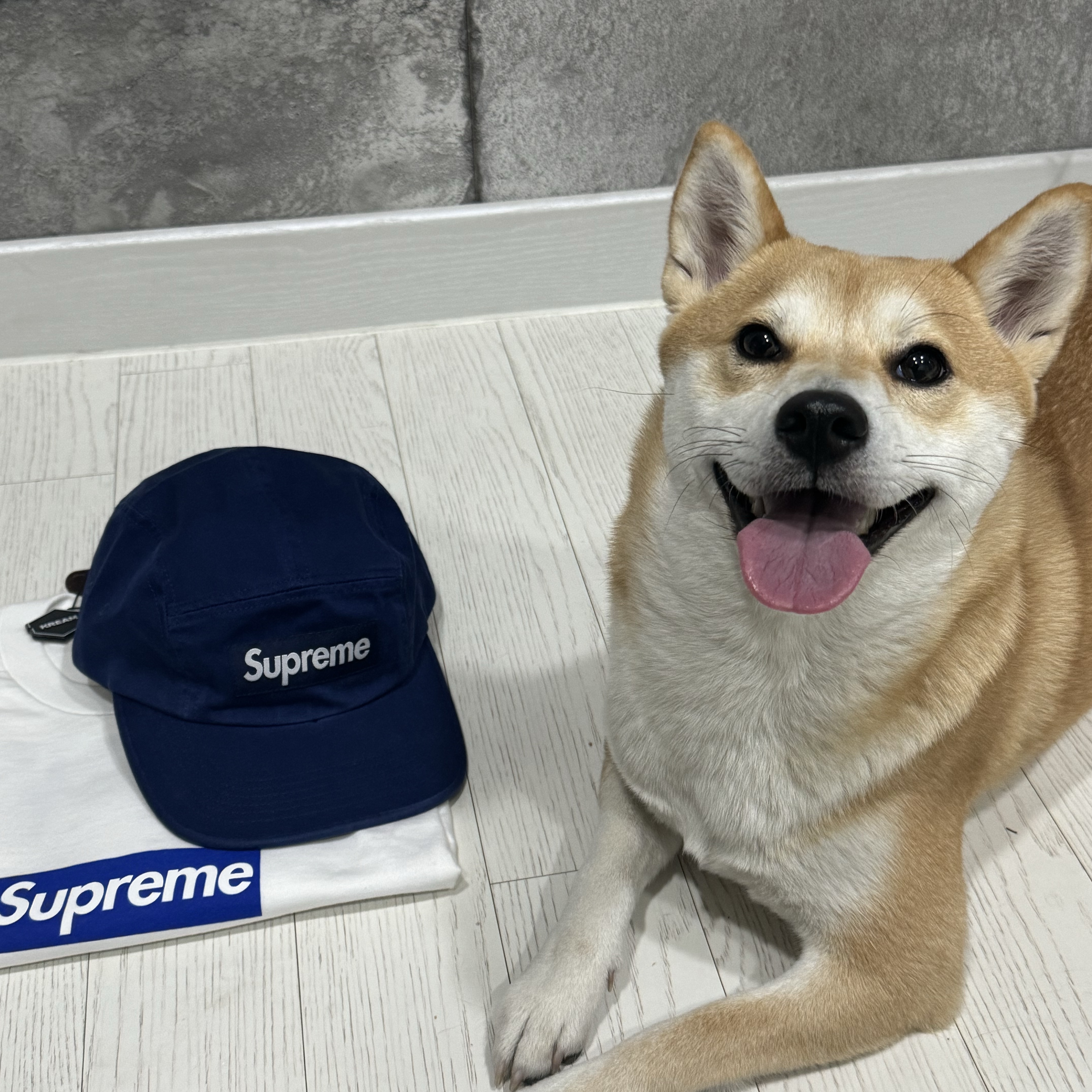 Supreme Washed Chino Twill Camp Cap Navy - 24SS, Supreme Seoul Box Logo T-Shirt White - 23FW 착용 스타일 - 1