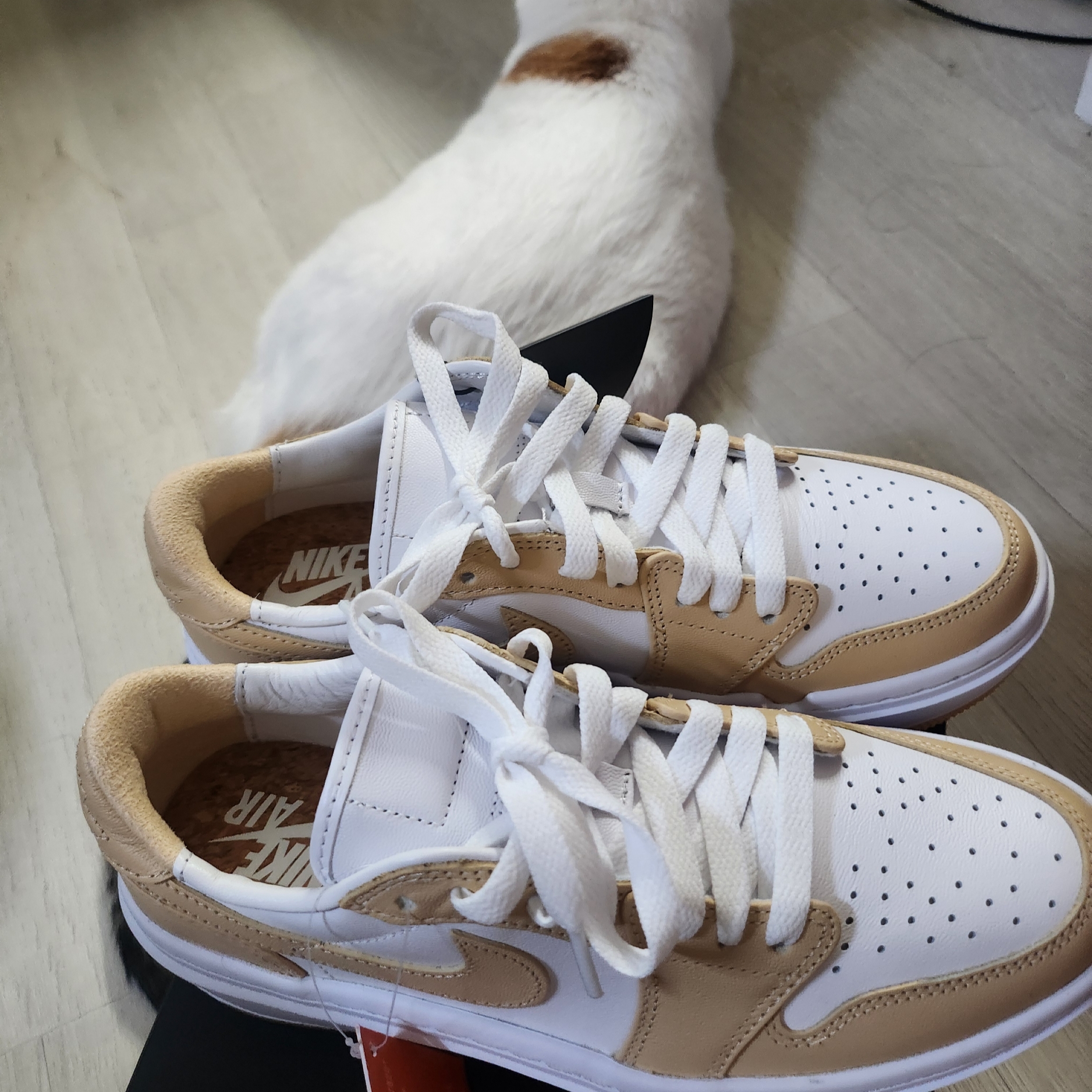 (W) Jordan 1 Elevate Low White Onyx 착용 스타일