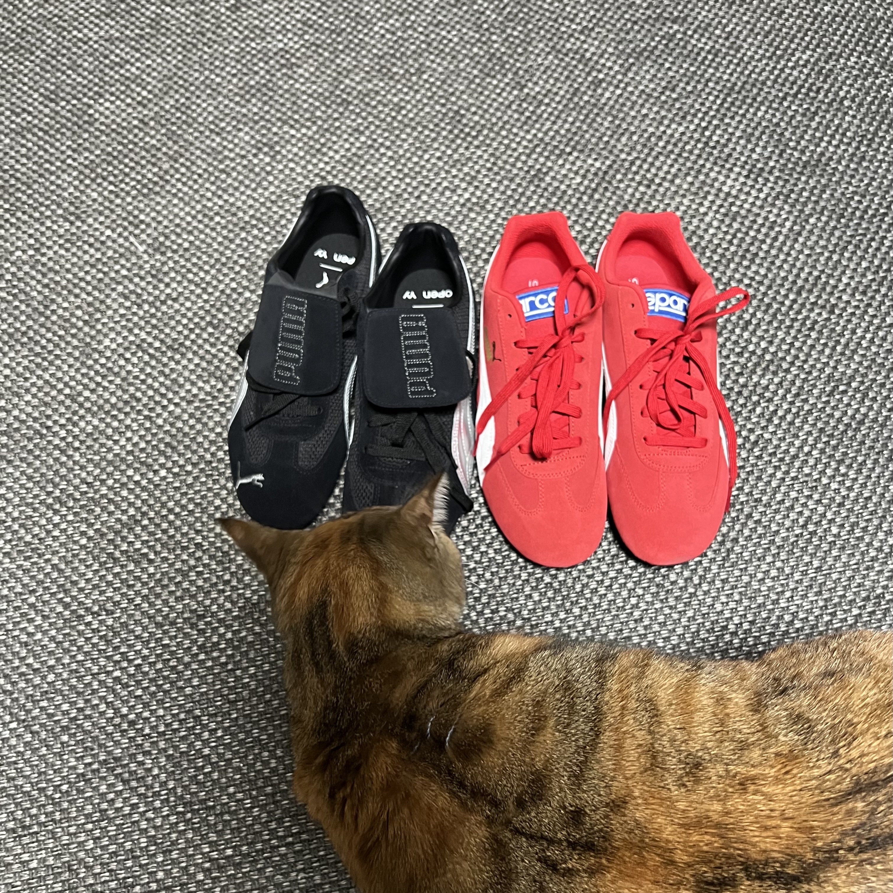 Puma x Open Yy Speedcat Black Shadow Gray, Puma Speedcat LS High Risk Red White 착용 스타일