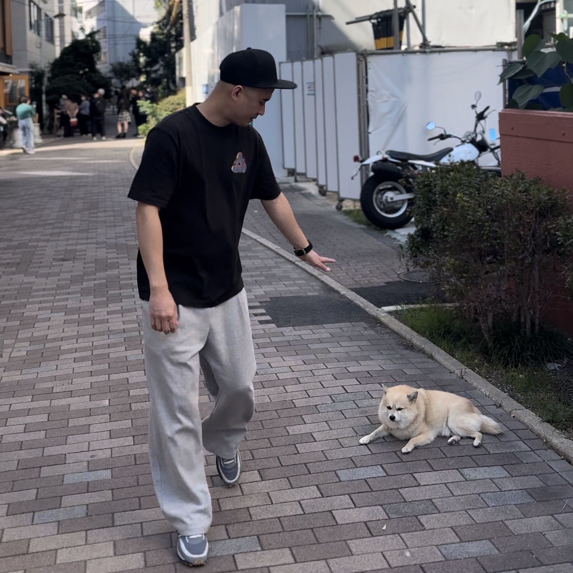 고구마옹님의 스타일
