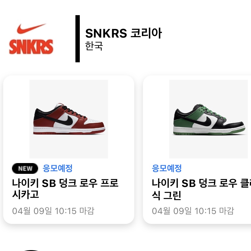 Nike SB Dunk Low Pro Chicago, Nike SB Dunk Low Pro Black and Classic Green 착용 스타일