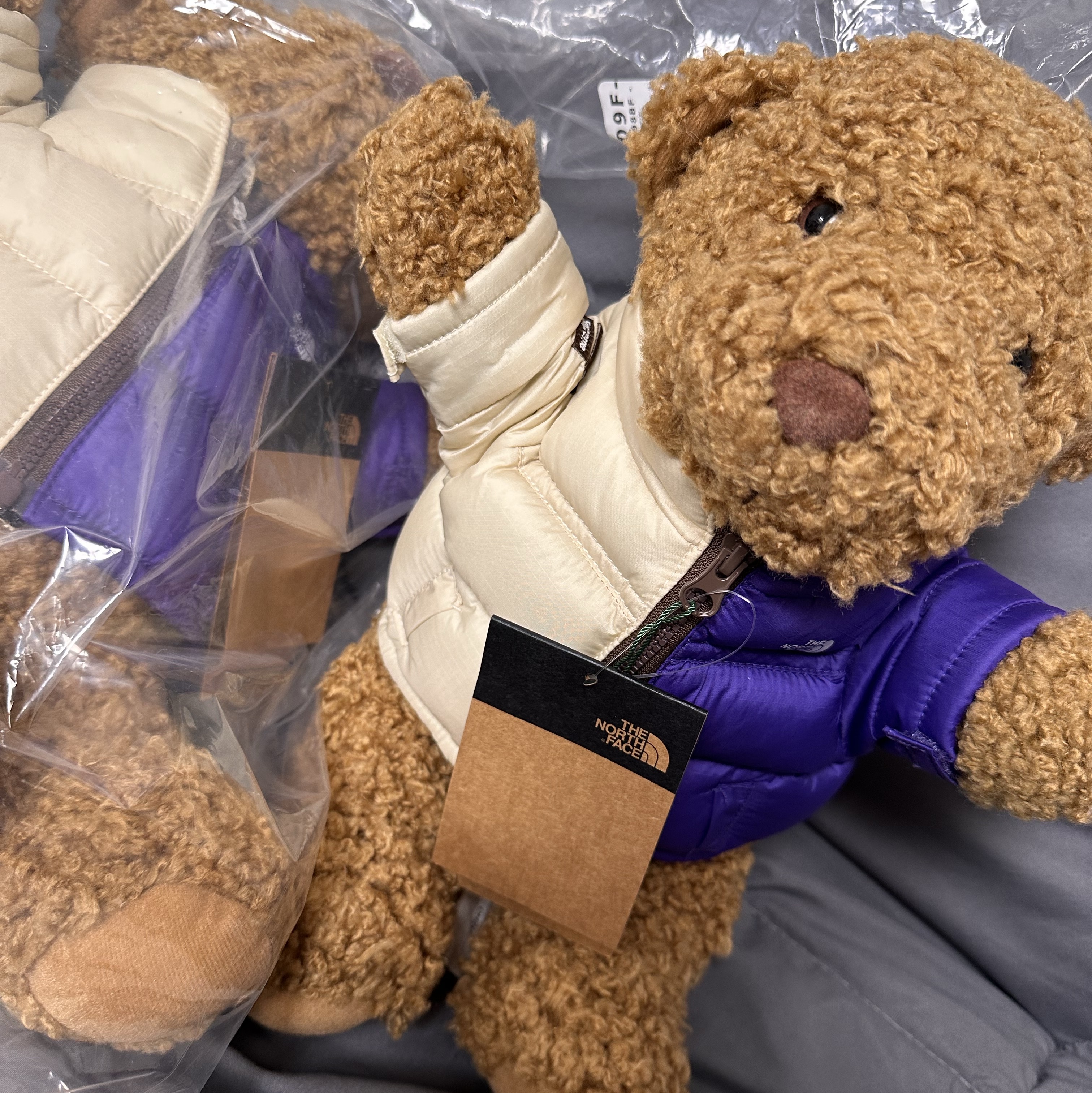 Supreme x The North Face Bear Tan - 24SS 착용 스타일
