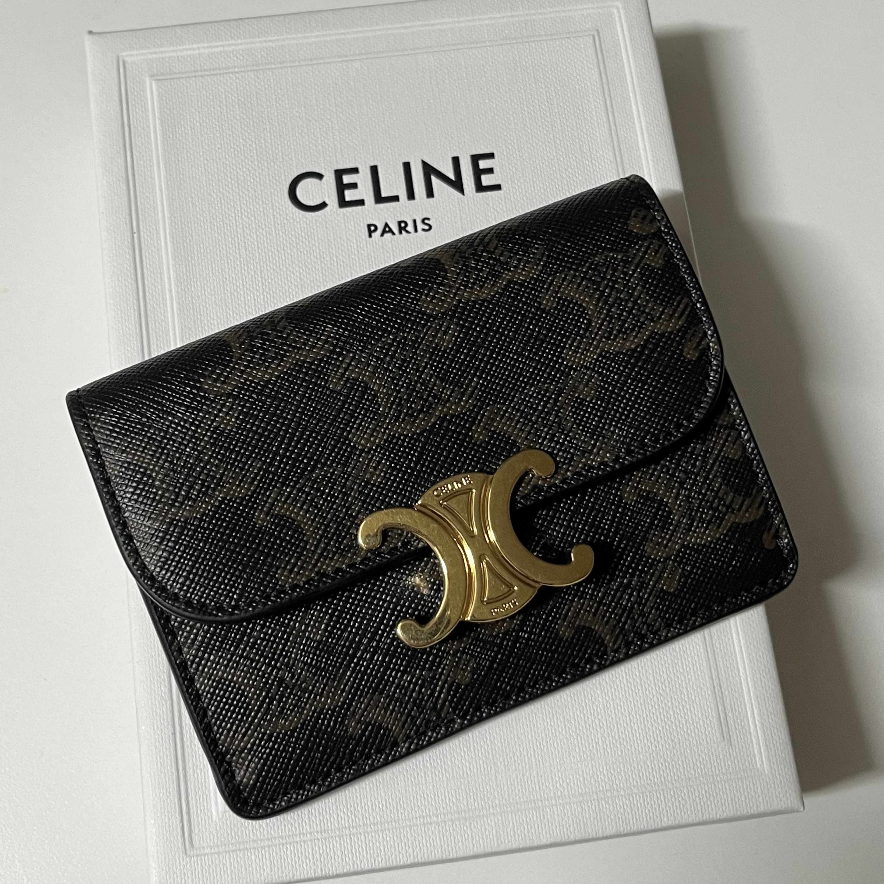 Celine Card Holder with Flap in Triomphe Canvas Tan 착용 스타일