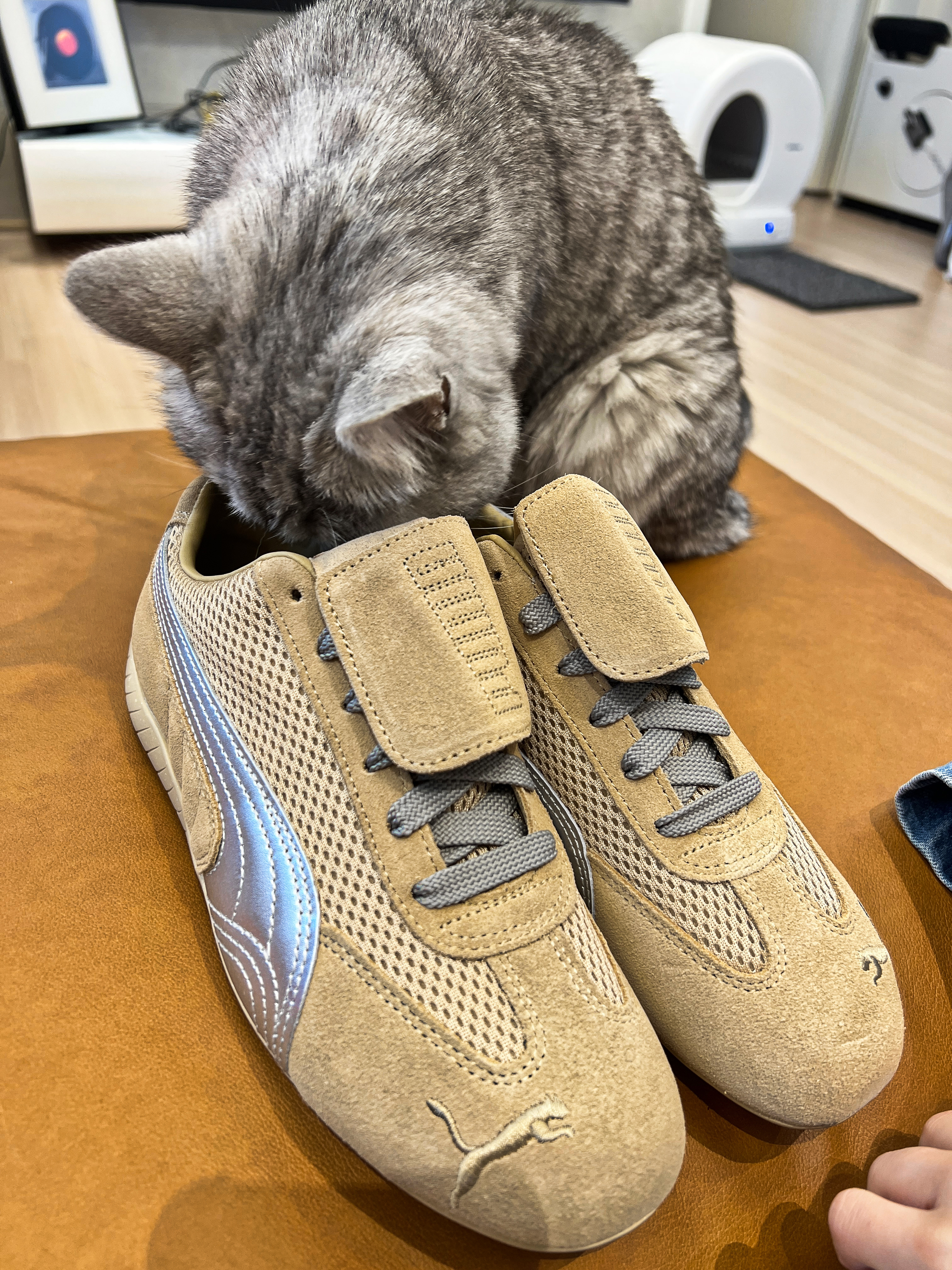 Puma x Open Yy Speedcat Prairie Tan Matte Silver, Supreme Plaid Flannel Shirt Black - 24SS 착용 스타일 - 2