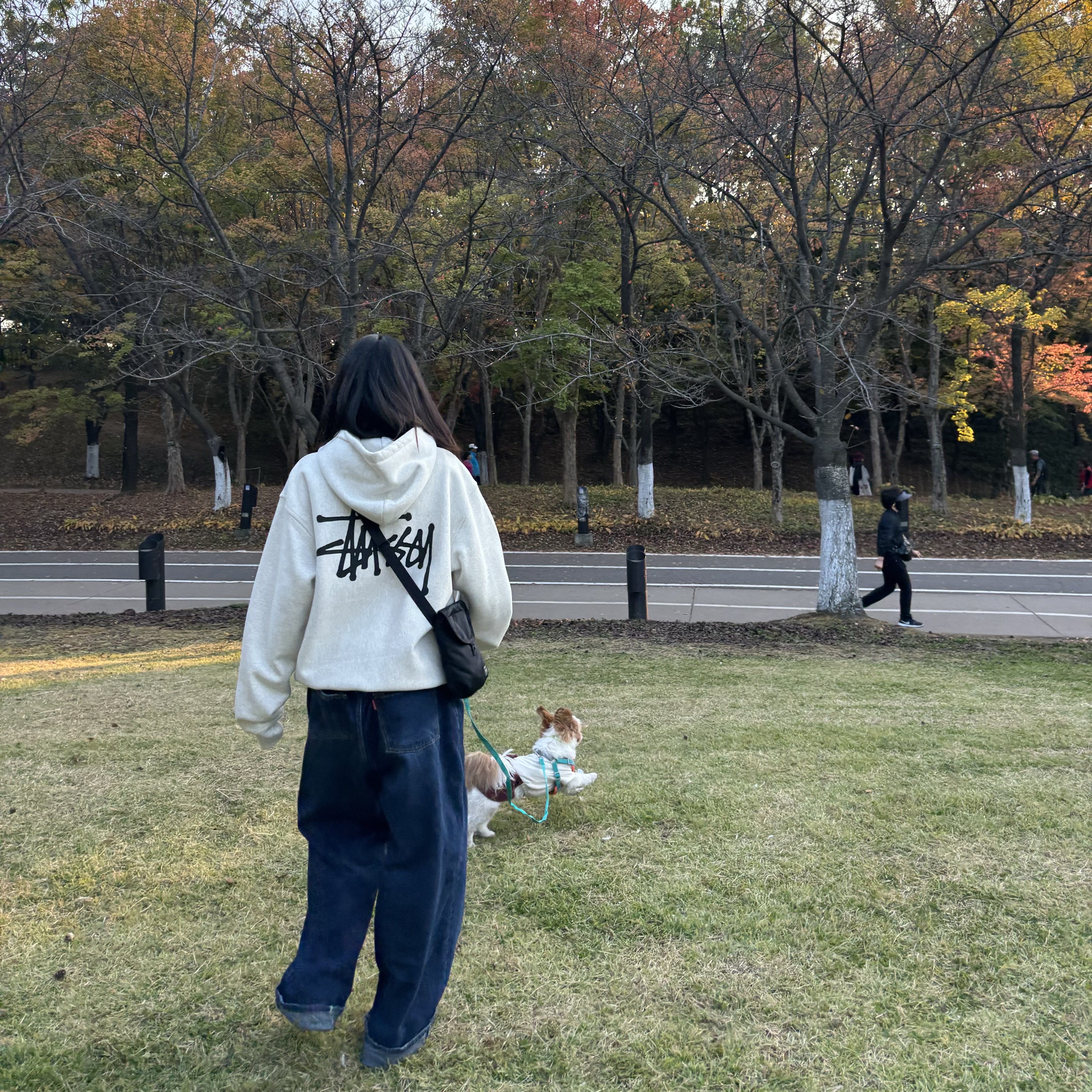 Stussy Basic Stussy Hoodie Ash Heather 2022, Stussy Basic Stussy Hoodie Ash Heather 2023 착용 스타일 - 1