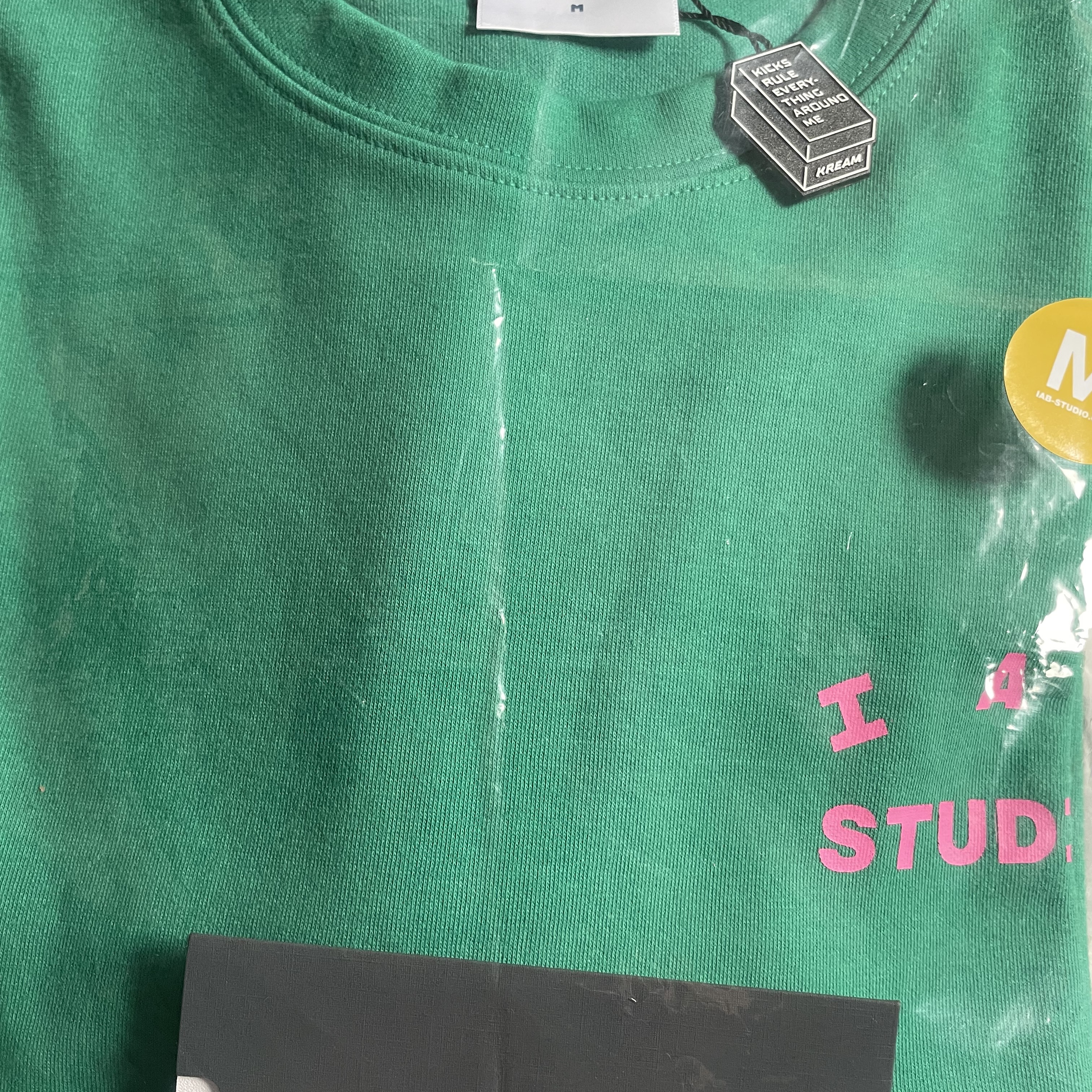 IAB Studio T-Shirt Green Pink 착용 스타일