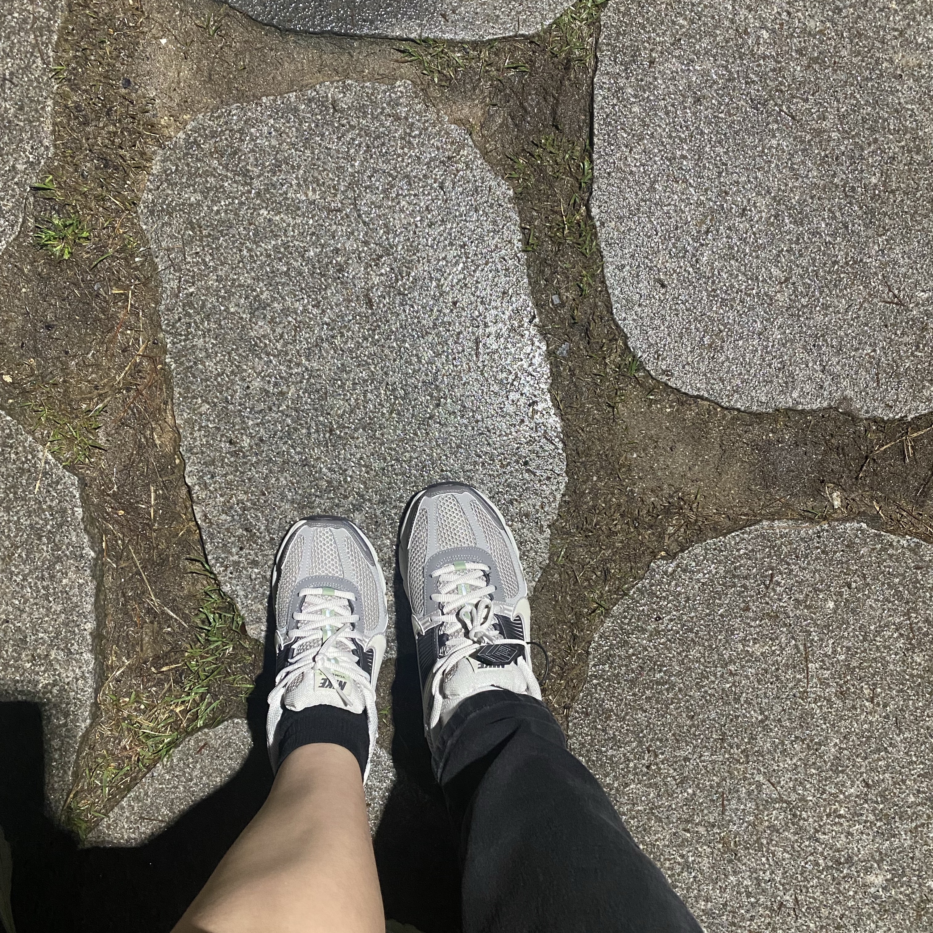 (W) Nike Zoom Vomero 5 Cobblestone and Flat Pewter 착용 스타일