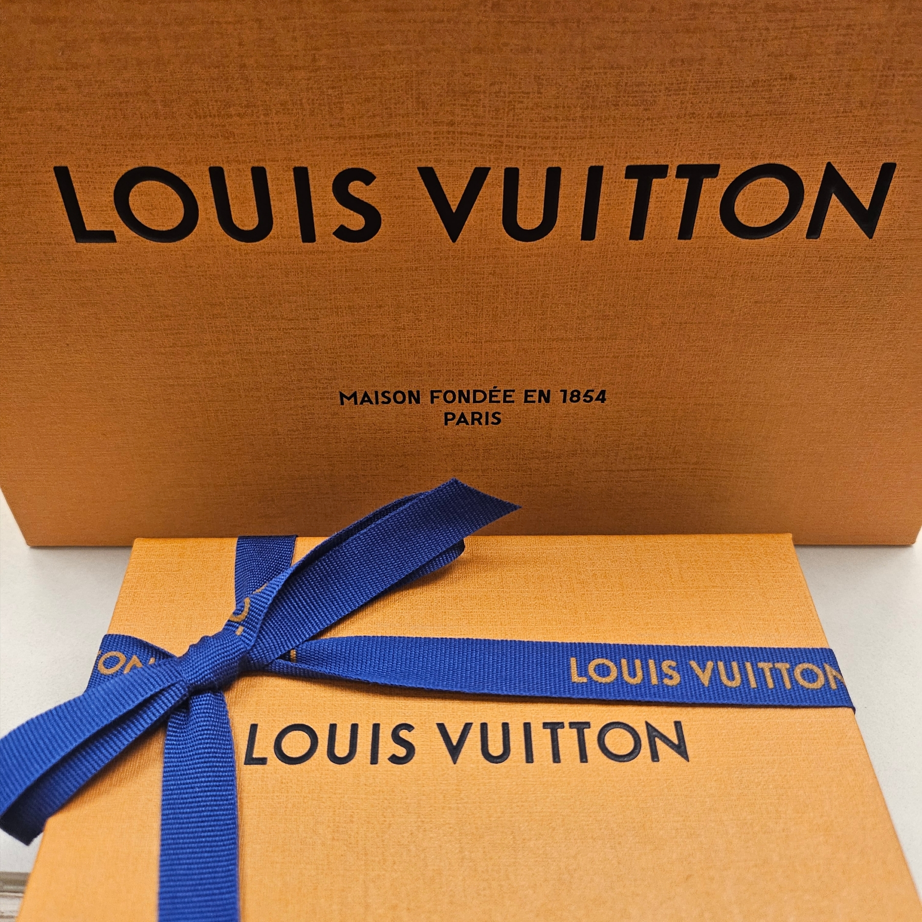 Louis Vuitton Card Holder Monogram and Monogram Reversed 착용 스타일 - 1