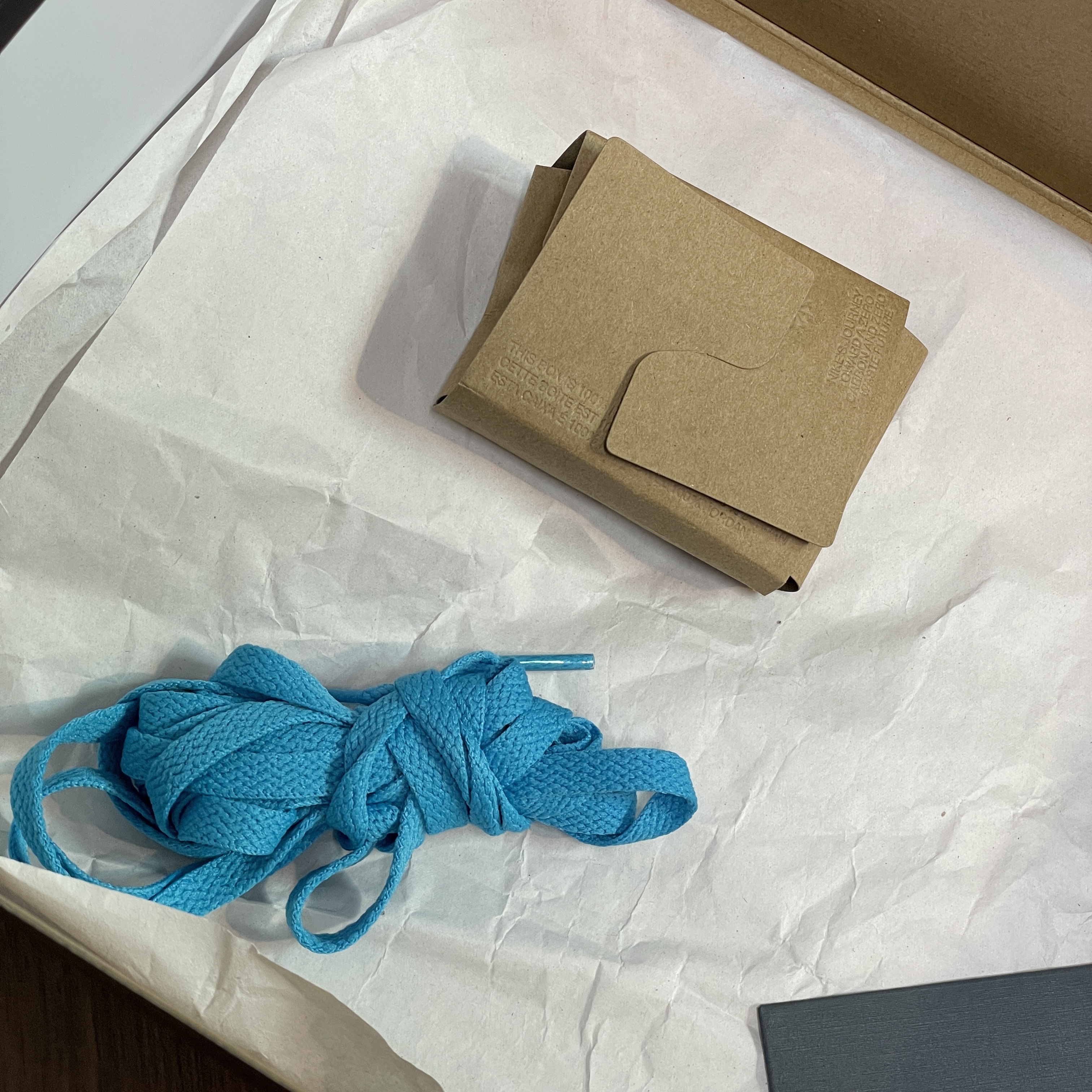 Jordan 1 Retro Low OG Black and Dark Powder Blue 착용 스타일 - 2