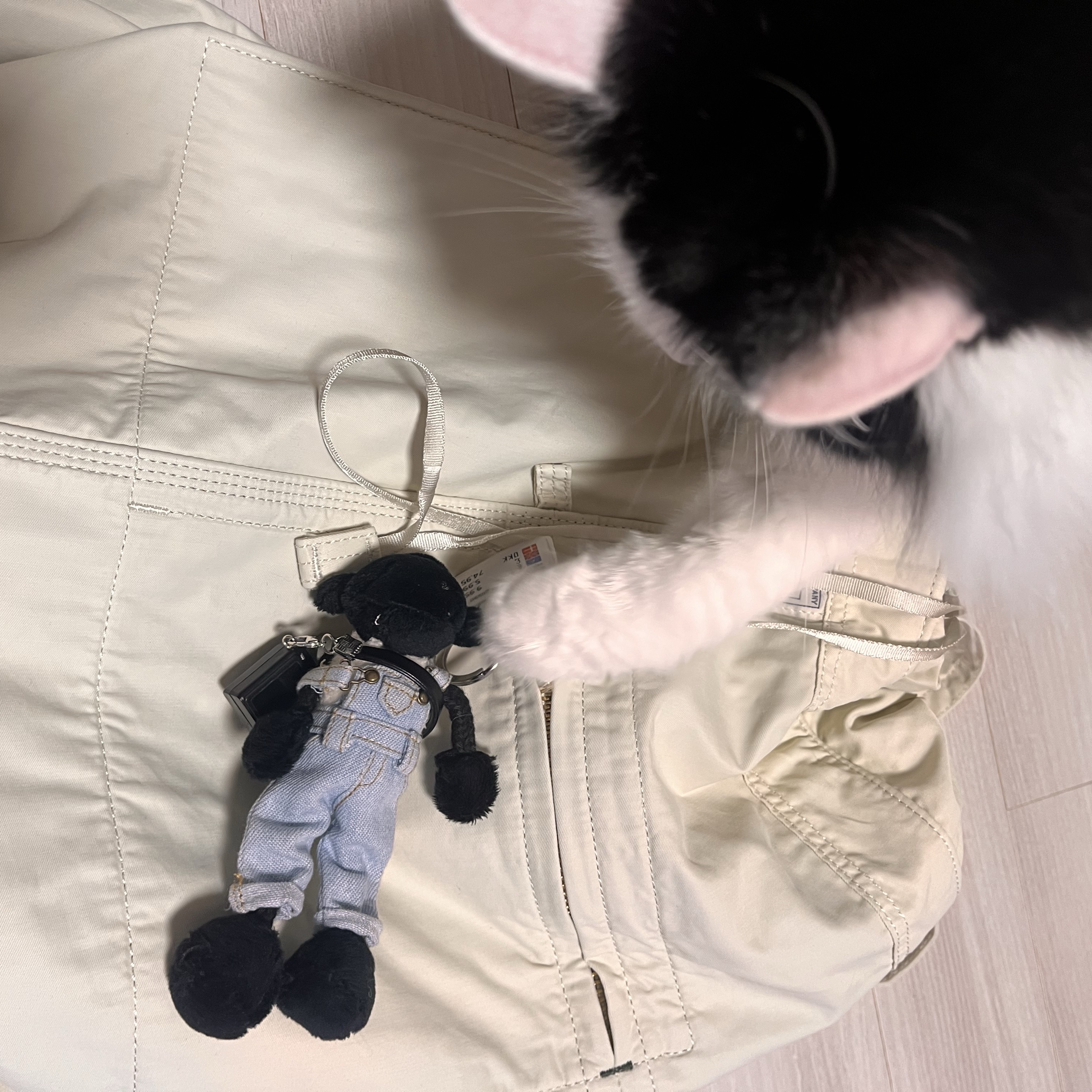 Porter Mile Knapsack Off White 착용 스타일