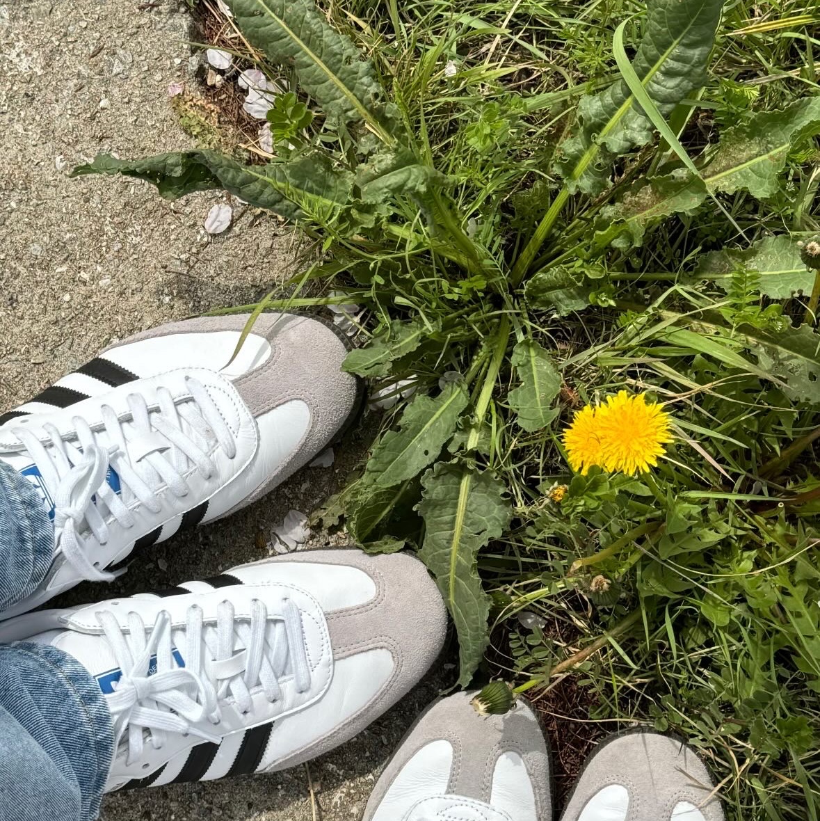 Adidas Samba OG Cloud White 착용 스타일