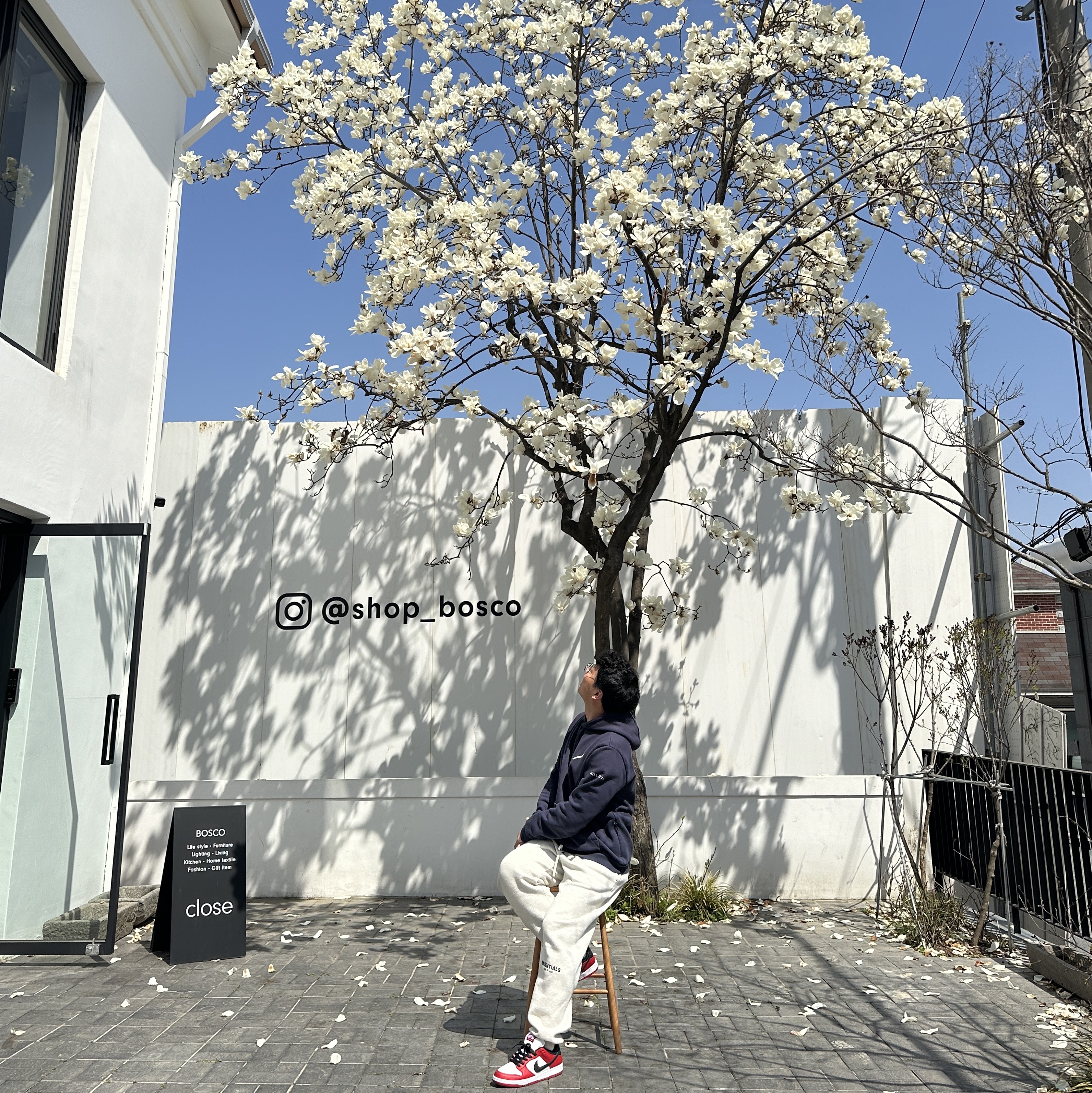 Nike SB Dunk Low Pro Chicago, Essentials The Core Collection Sweatpants Light Oatmeal 착용 스타일