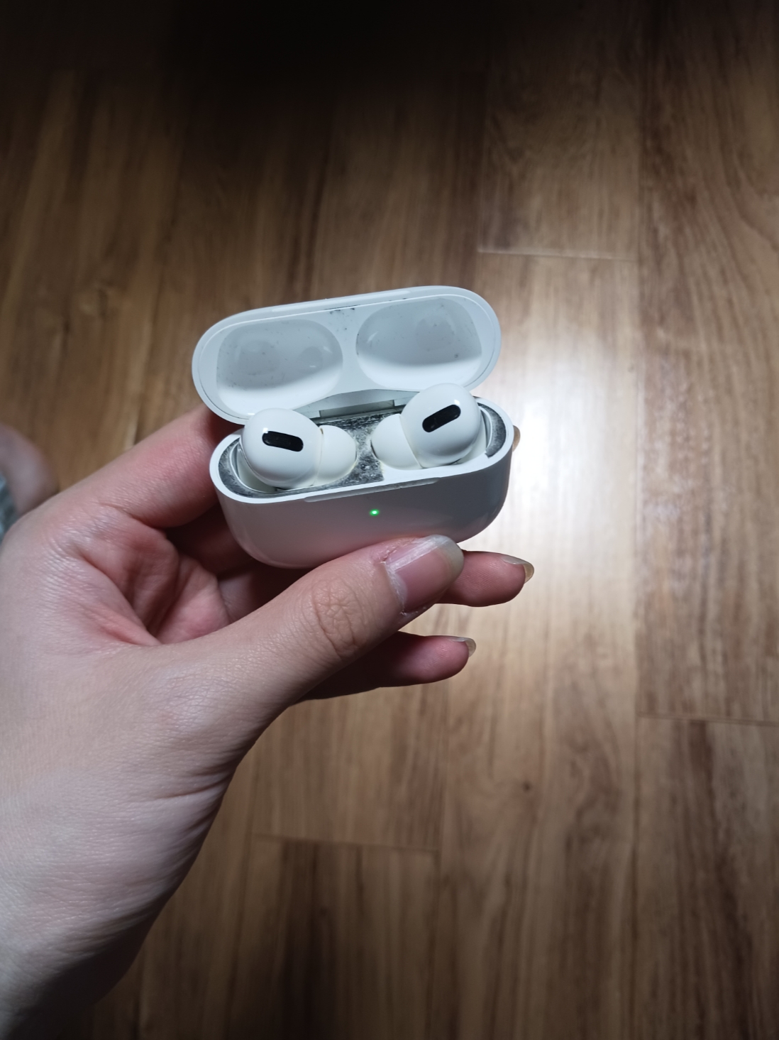 Apple Airpods Pro 2nd Gen with MagSafe Charging Case USB C (Korean Ver.) 착용 스타일