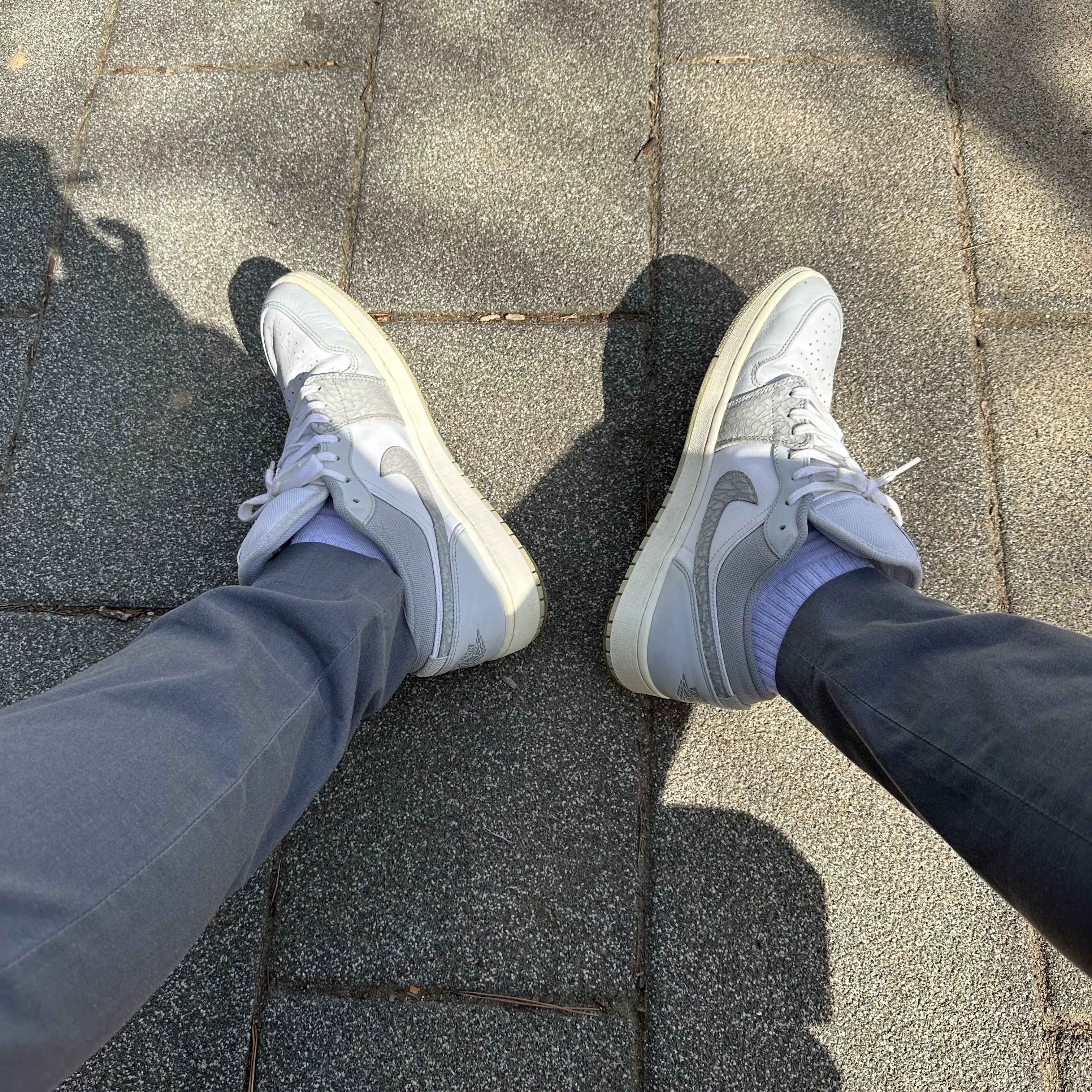 Jordan 1 Low PRM Elephant Print 착용 스타일 - 2