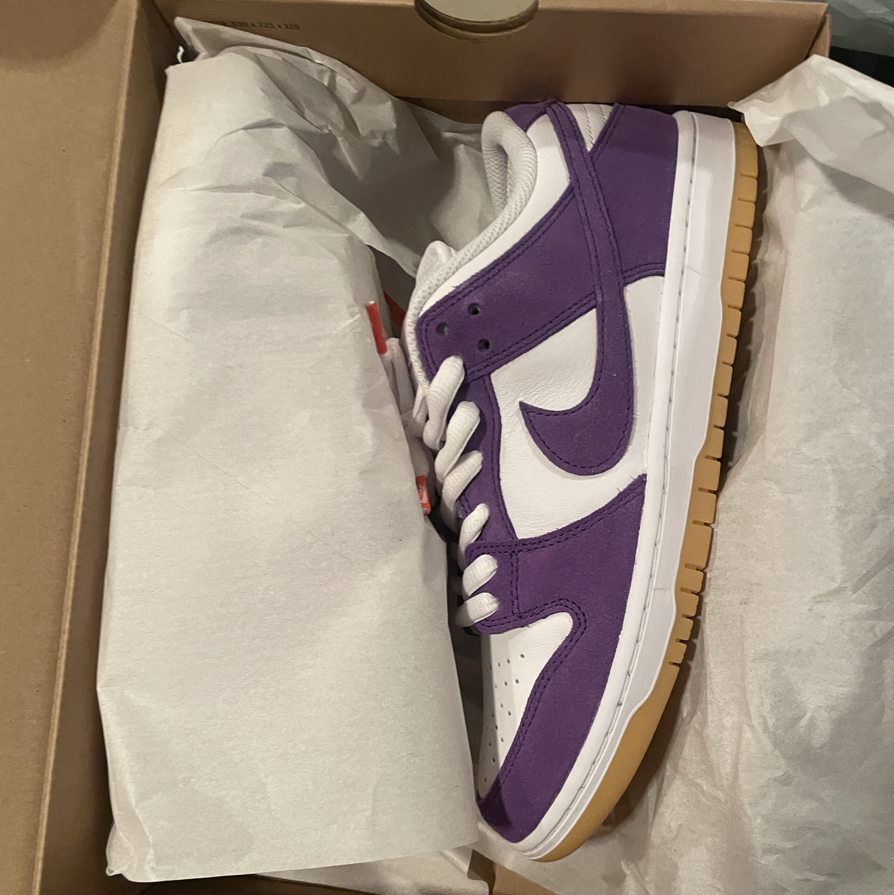 Nike Dunk Low Pro SB Court Purple 착용 스타일
