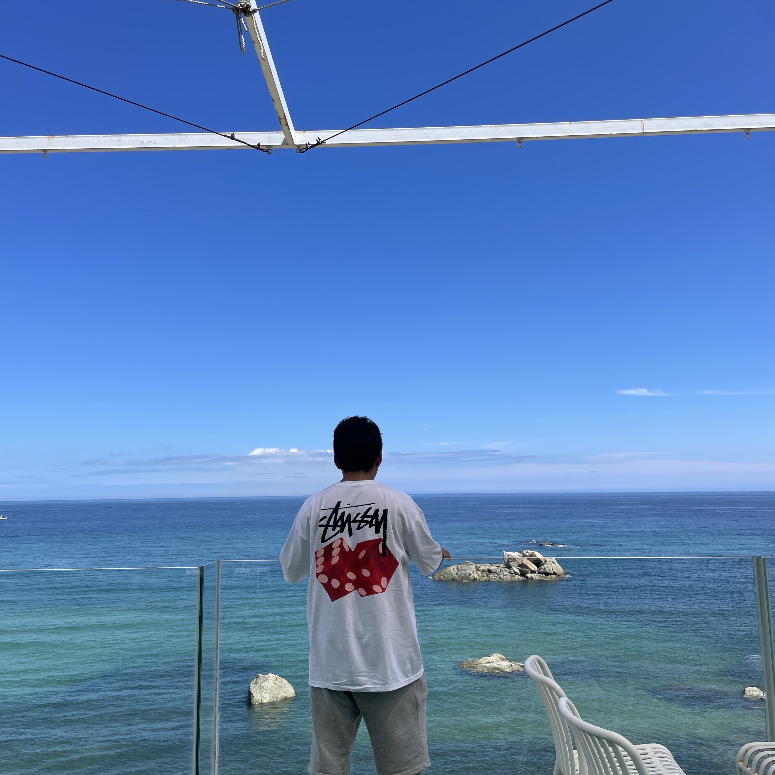 Stussy Diced Out T-Shirt White, Jordan 1 Retro High OG Chicago 2022 착용 스타일 - 1