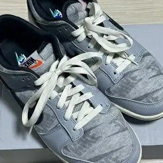 Nike Dunk Low SE Copy and Paste 착용 스타일