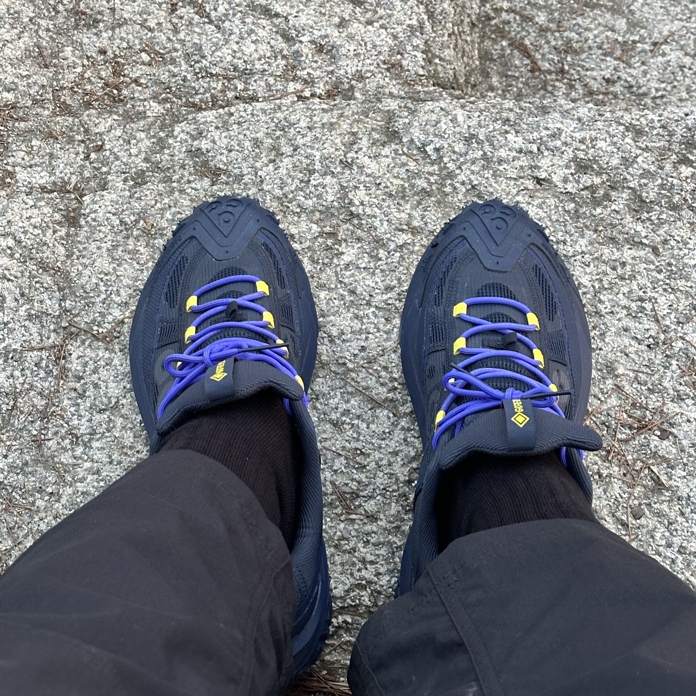 Nike ACG Mountain Fly 2 Low Gore-Tex Dark Obsidian Midnight Navy, Uniqlo UT x Kaws x Warhol Socks A Black 착용 스타일