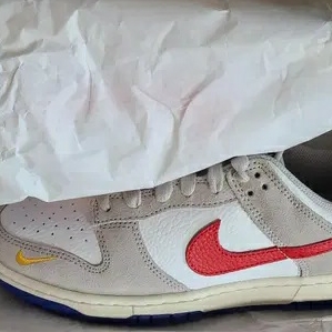 Nike Dunk Low Light Iron Ore 착용 스타일