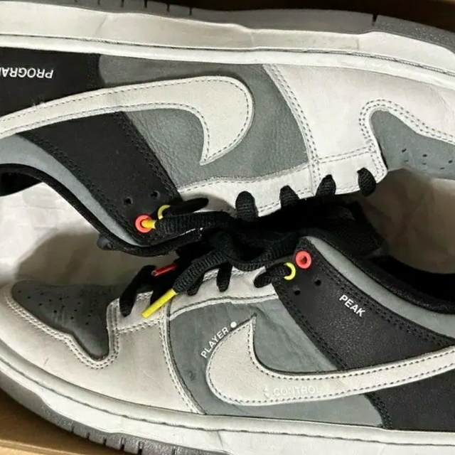 Nike SB Dunk Low Pro Camcorder 착용 스타일