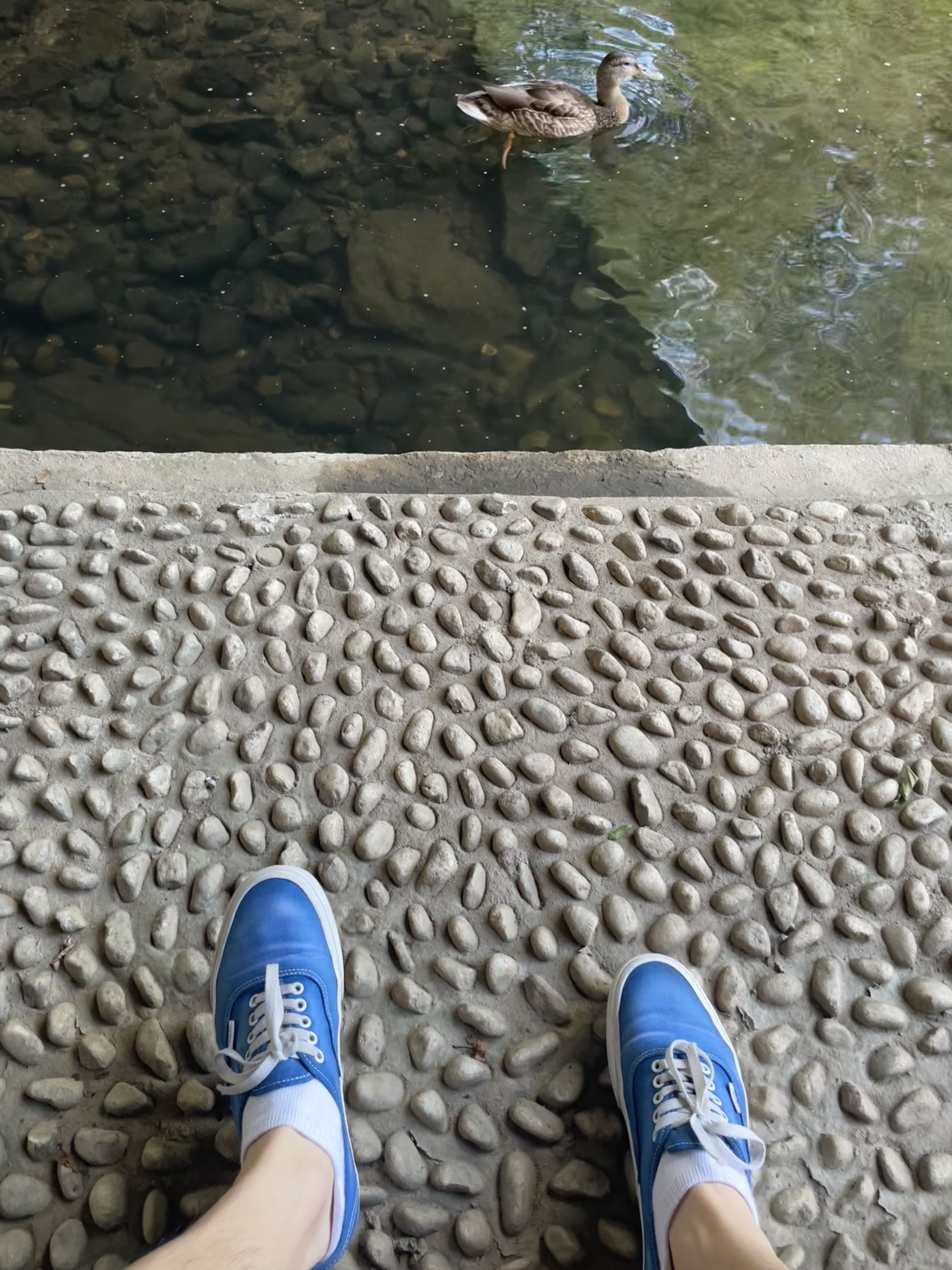 Vans Authentic Wave Washed Blue 착용 스타일 - 1