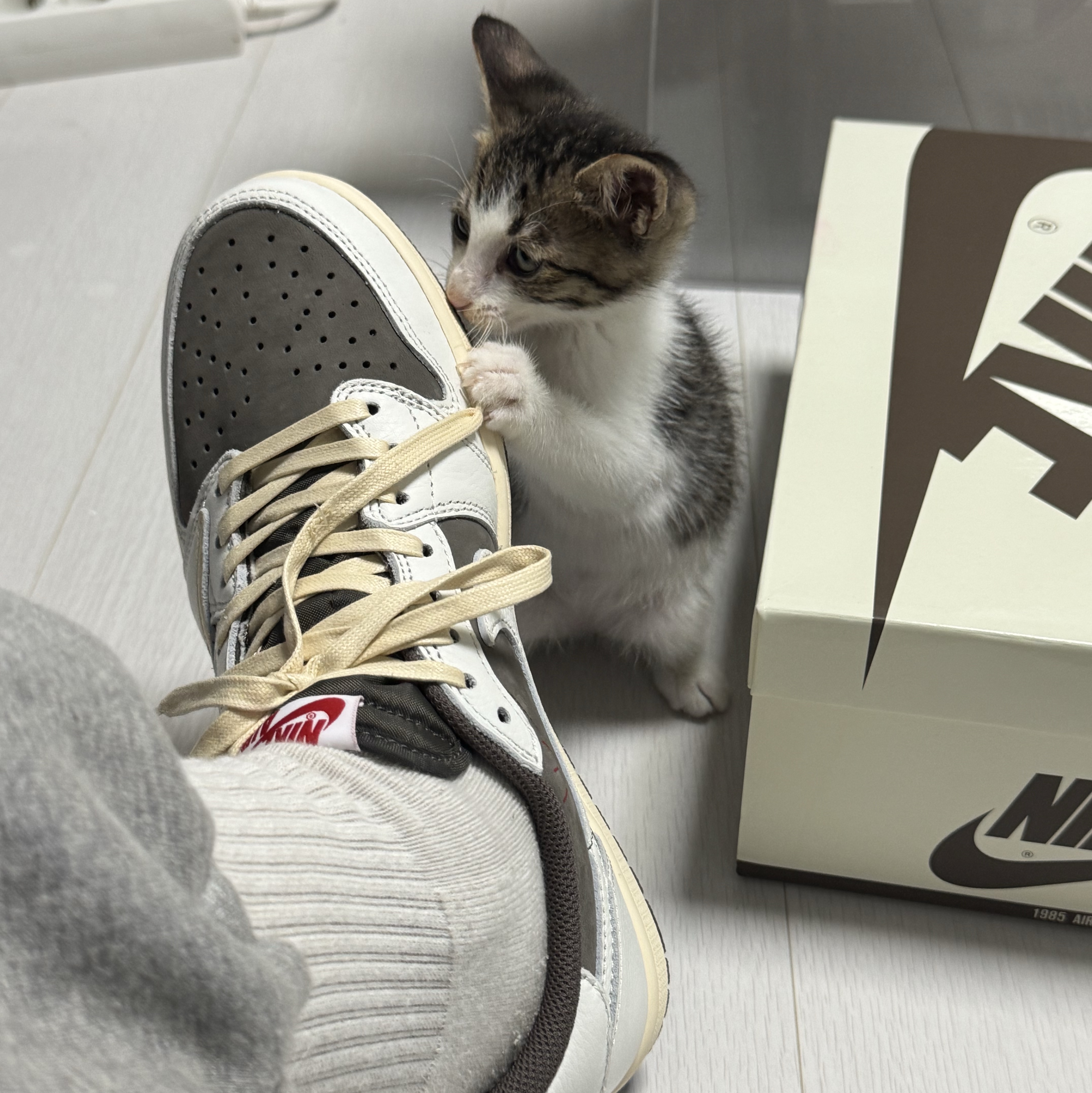 Jordan 1 x Travis Scott Retro Low OG SP Sail and Ridgerock 착용 스타일