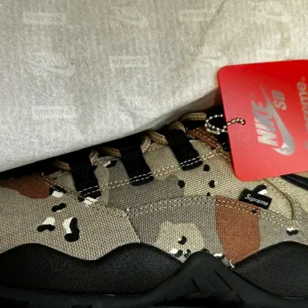 Nike x Supreme SB Darwin Low Desert Camo 착용 스타일