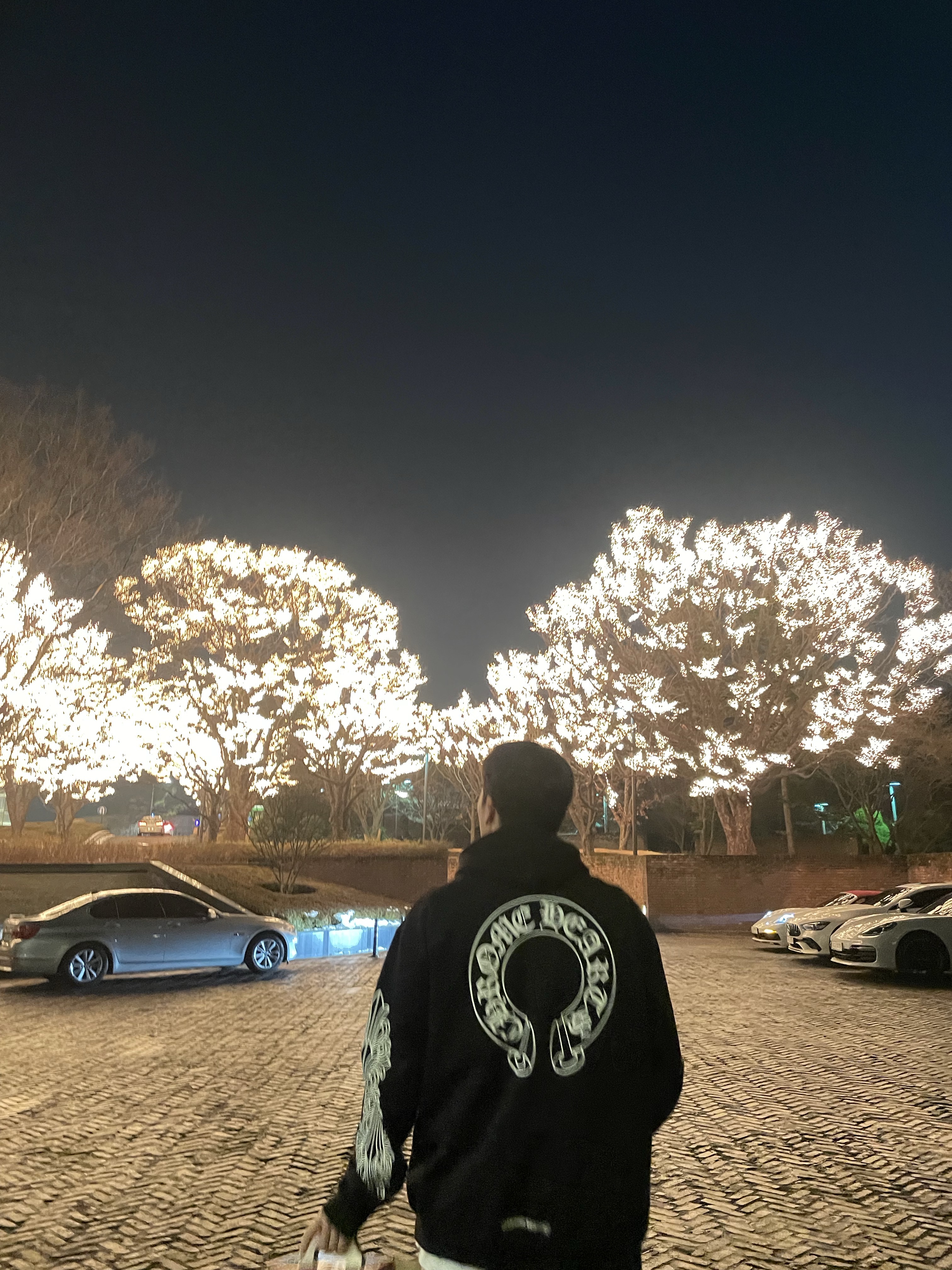 Chrome Hearts Horseshoe Floral Fleece Zip-Up Hoodie Black, Louis Vuitton LV Trainer Sneakers Green 착용 스타일 - 4
