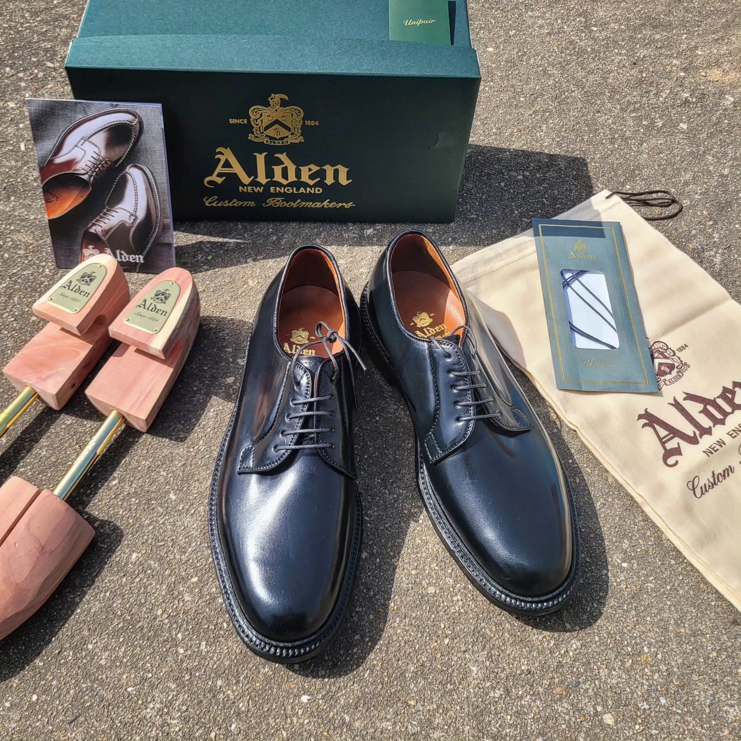 Alden 9901 Cordovan Plain Toe Blucher Oxford Black - E 착용 스타일