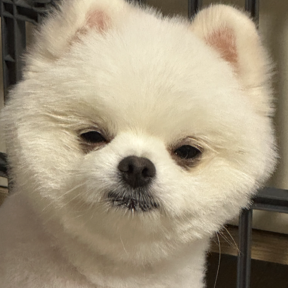 관심 유저 프로필 이미지