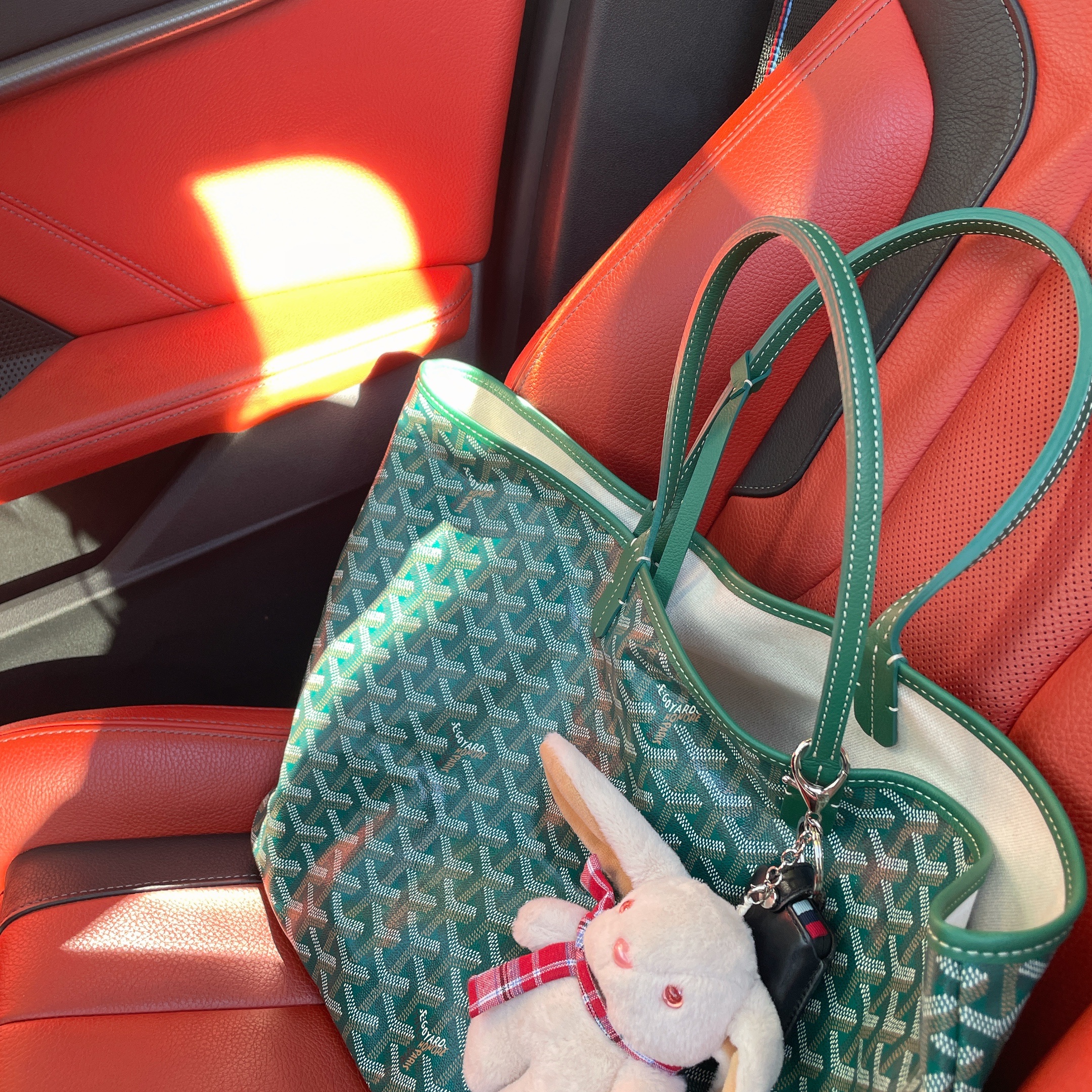 Goyard Saint Louis PM Bag Green 착용 스타일