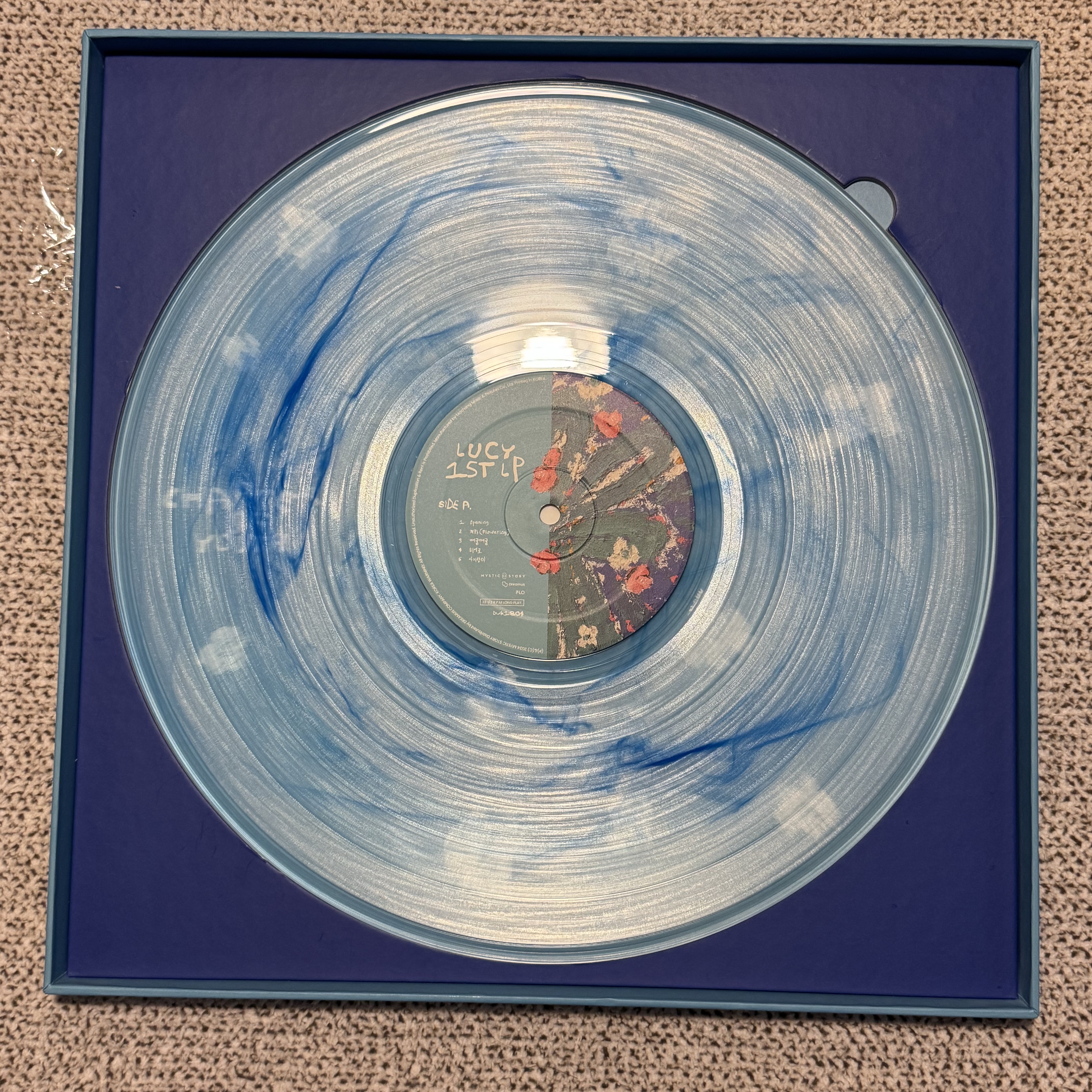 Lucy Chapter of Youth LP Blue 착용 스타일 - 1