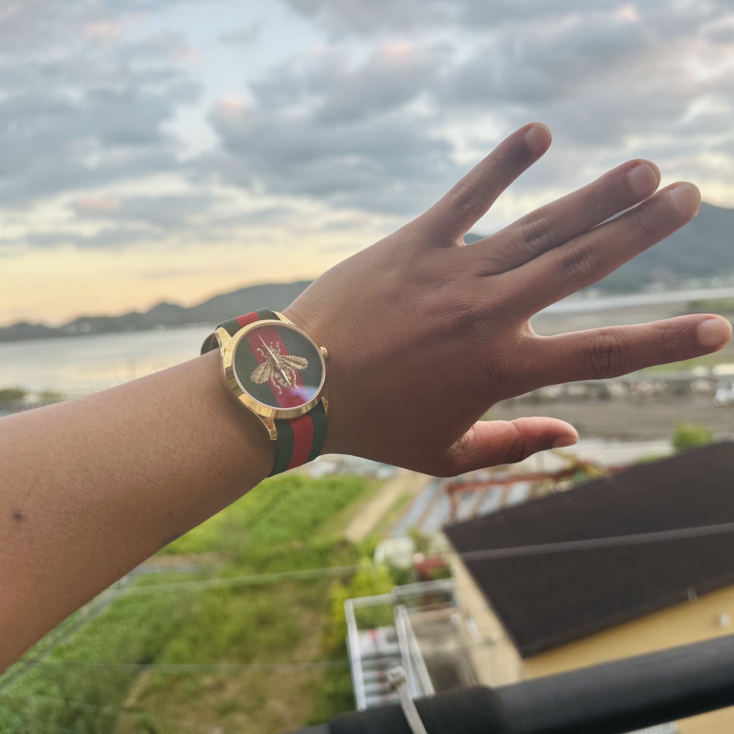 Gucci G-Timeless Quartz 38mm Fabric Green Red 착용 스타일