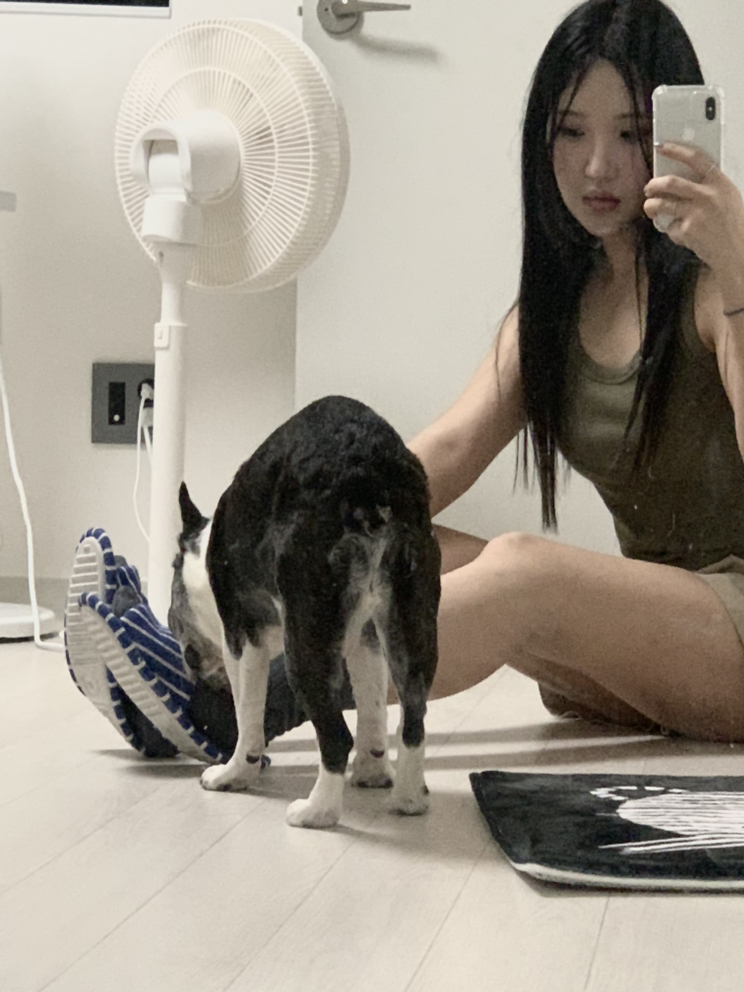 KREAM 프로필 이미지