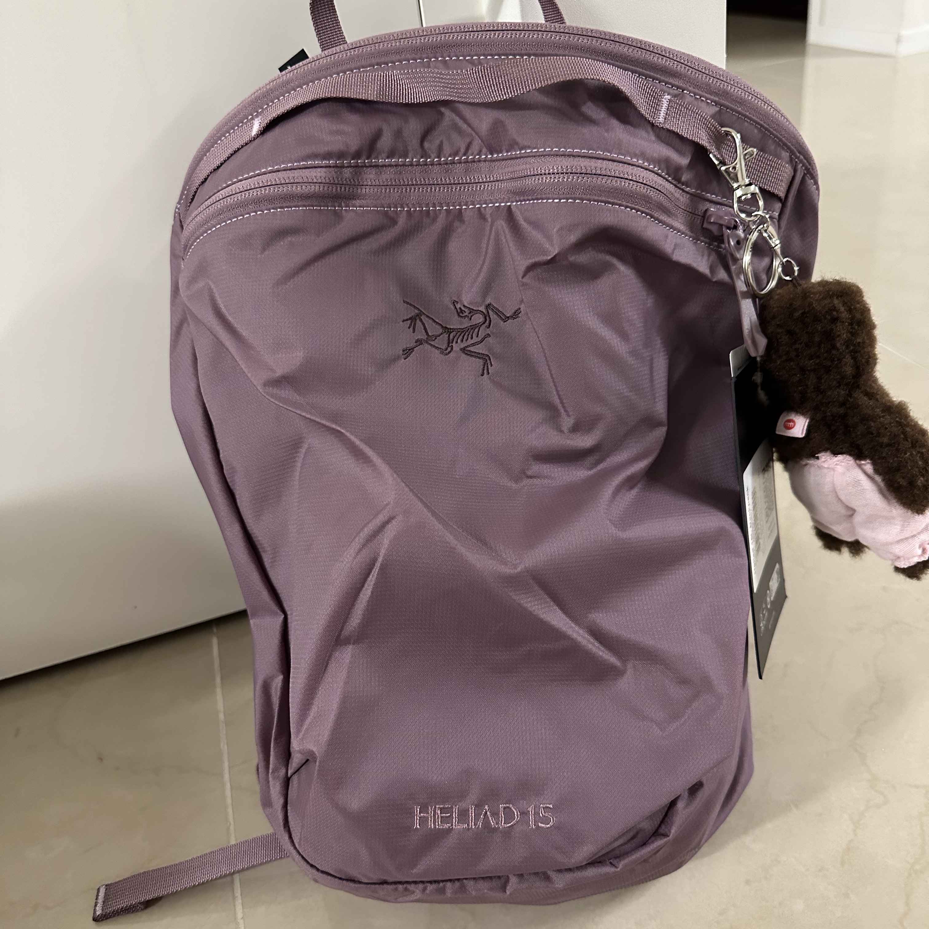 Arc'teryx Heliad 15 Backpack Interstellar, Monamhee Bred Keyring with Pink Pants Brown 착용 스타일